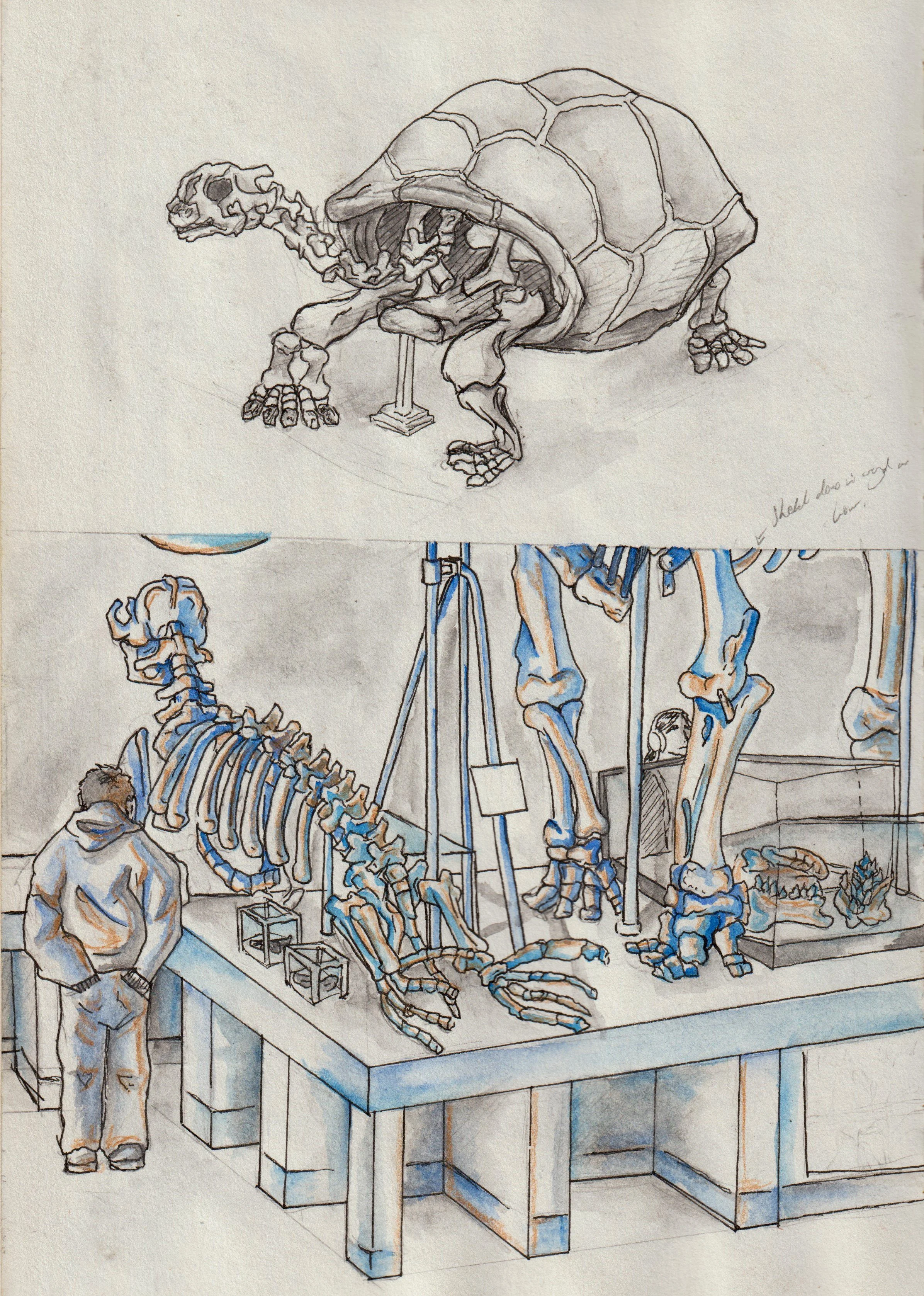 Skeletons pt. 2.jpg