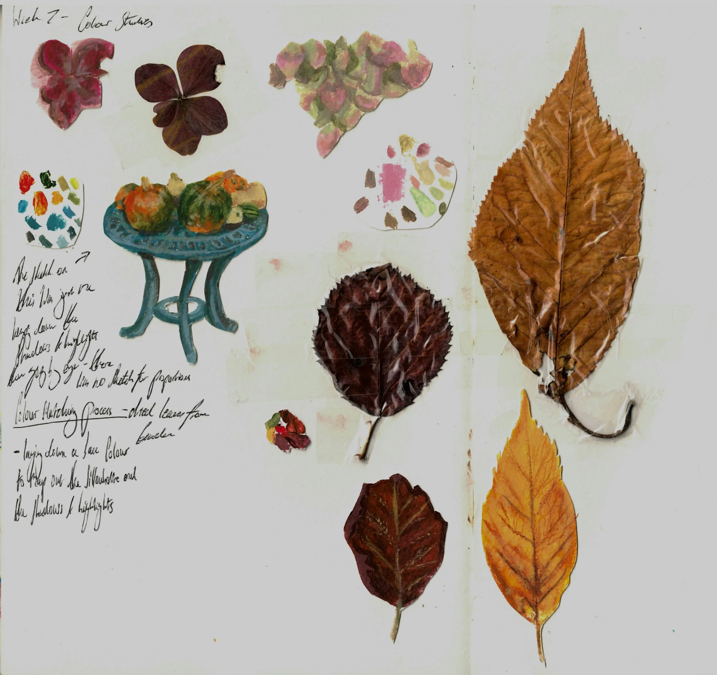 Week 7 tonal values.jpeg