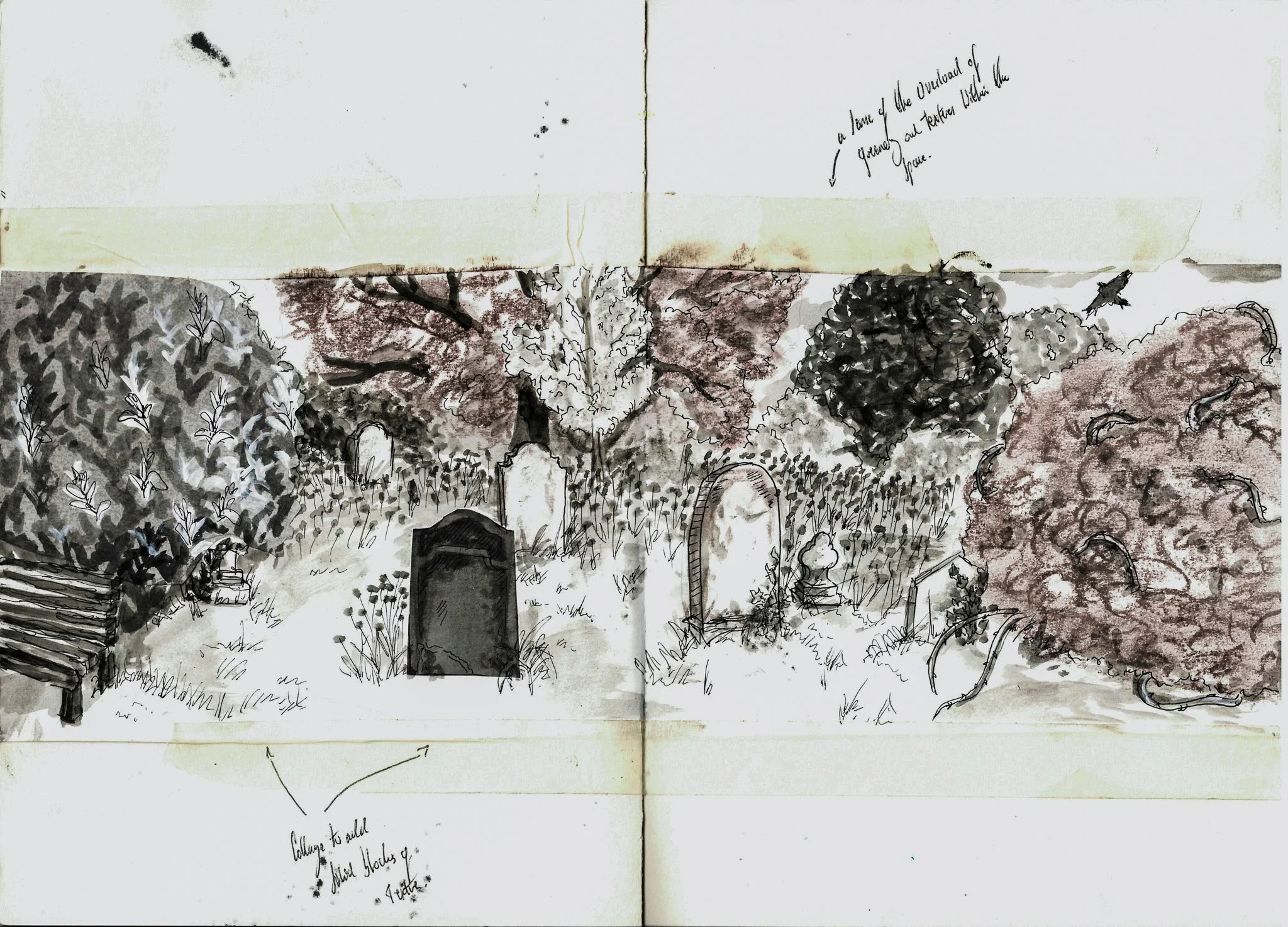 Week 4 tone and texture pt2.jpg