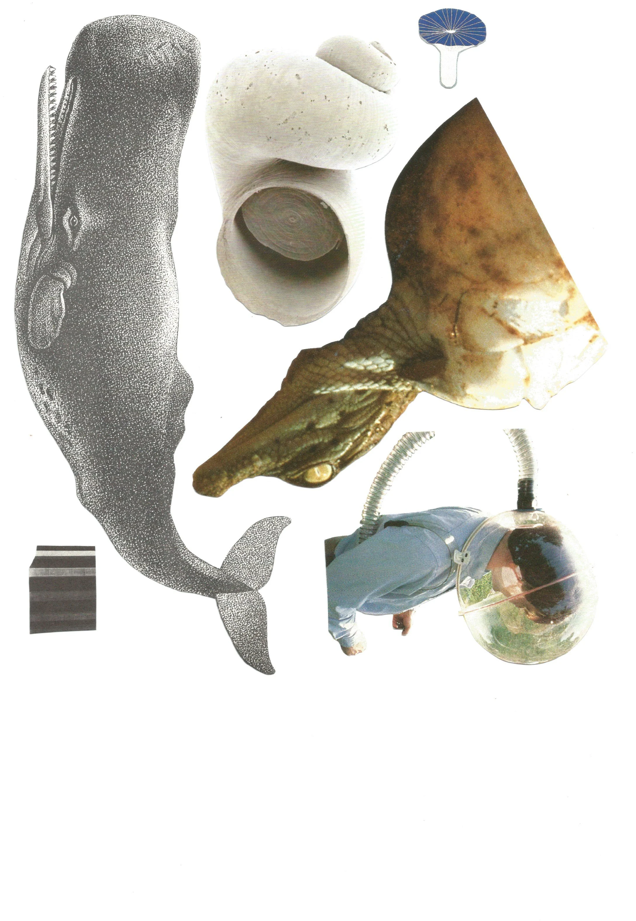Scan 102.jpeg
