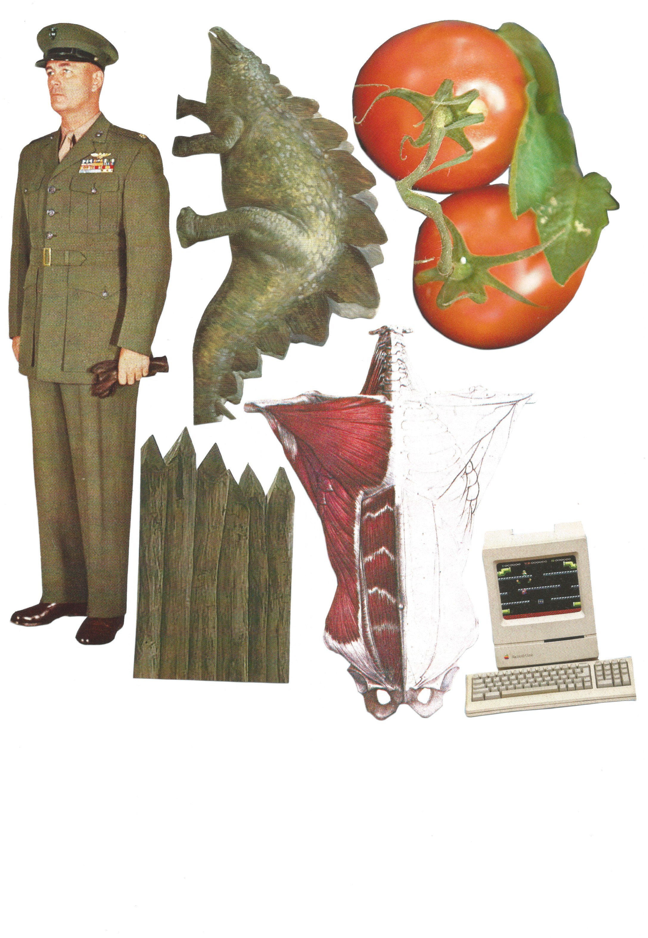 Scan 101.jpeg