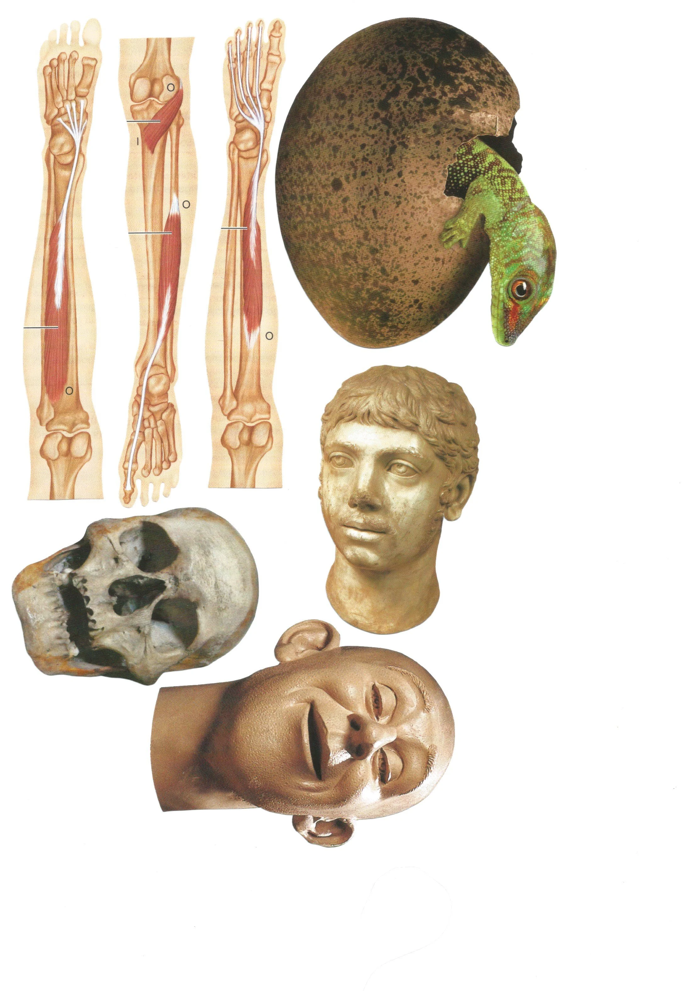 Scan 26.jpeg