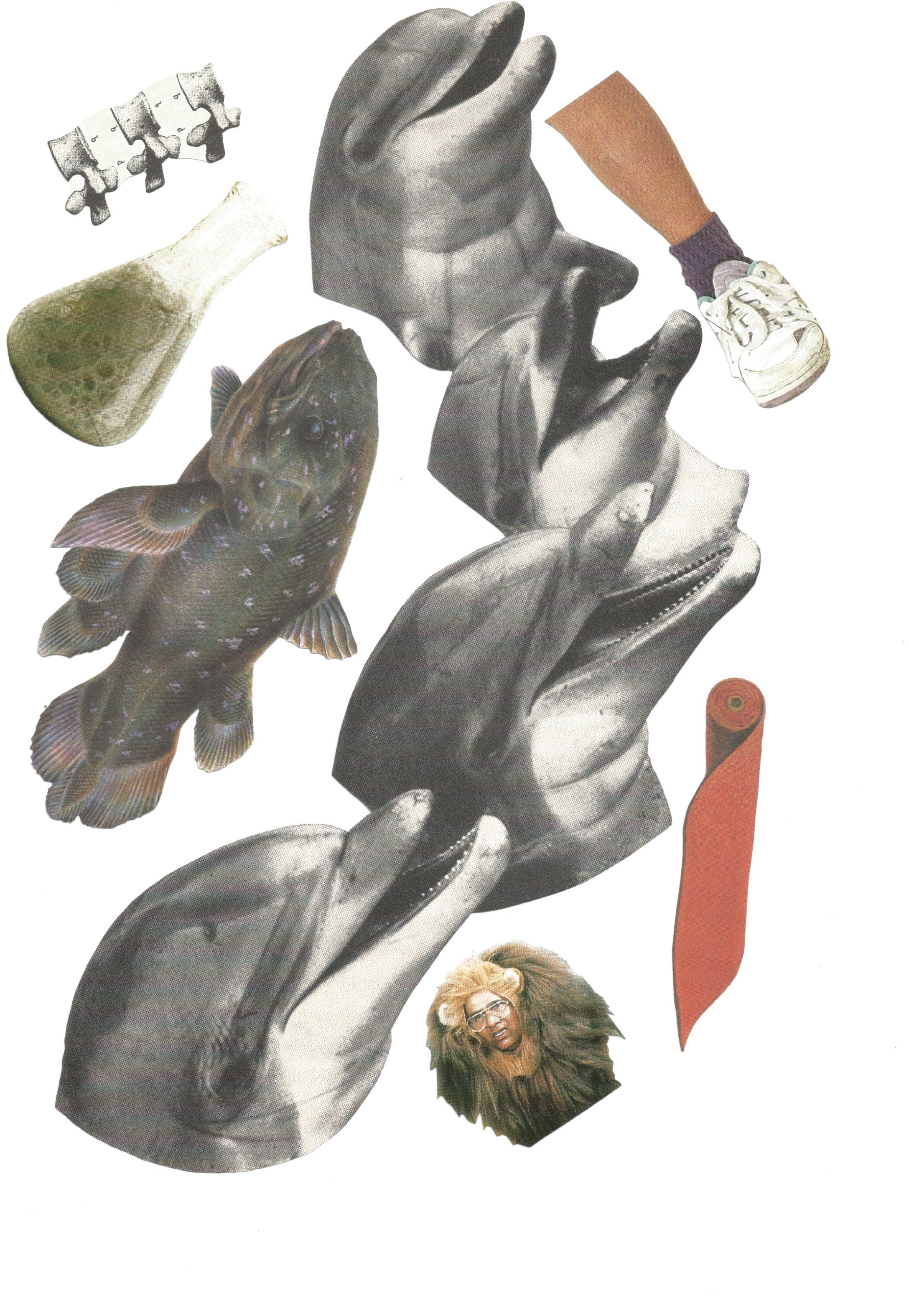 Scan 14.jpeg