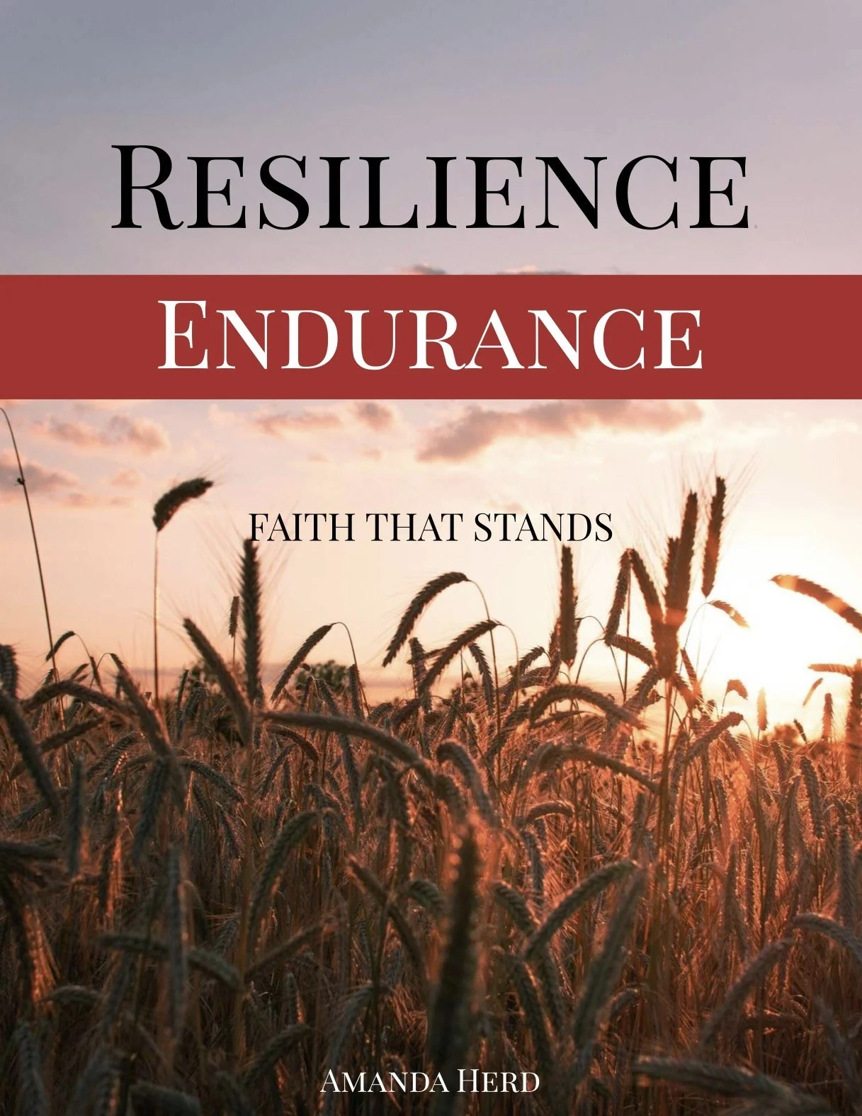 Resilience Endurance -Ebook