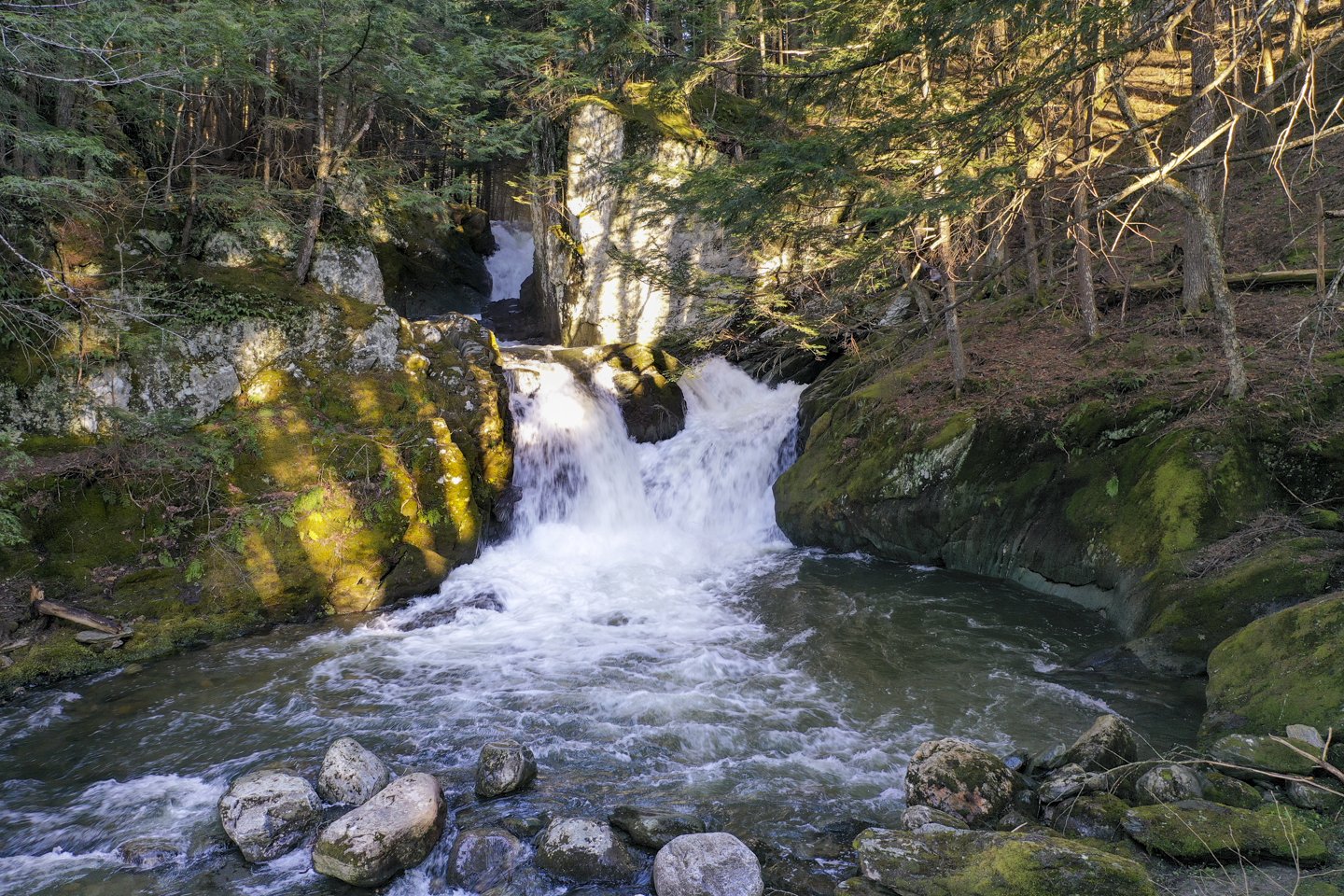 DJI_0149 (1).jpg