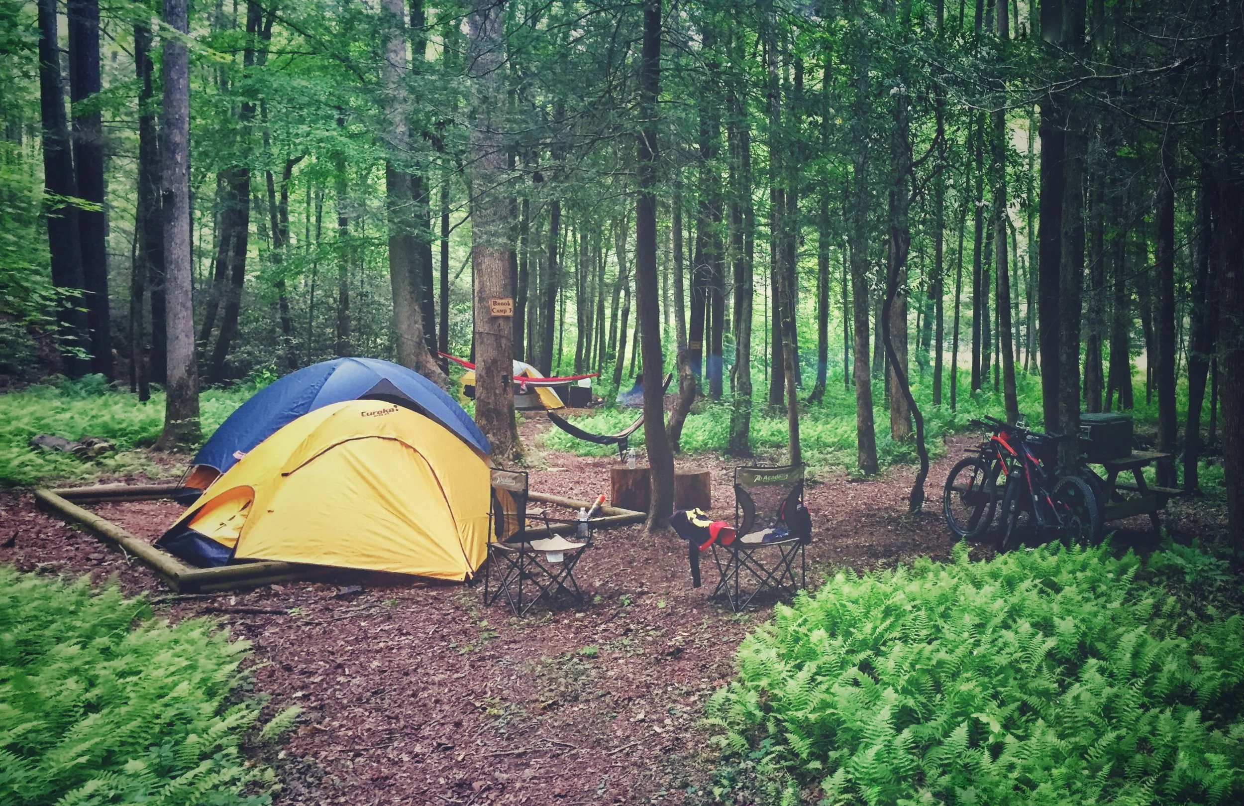 Camping at Mulberry Gap