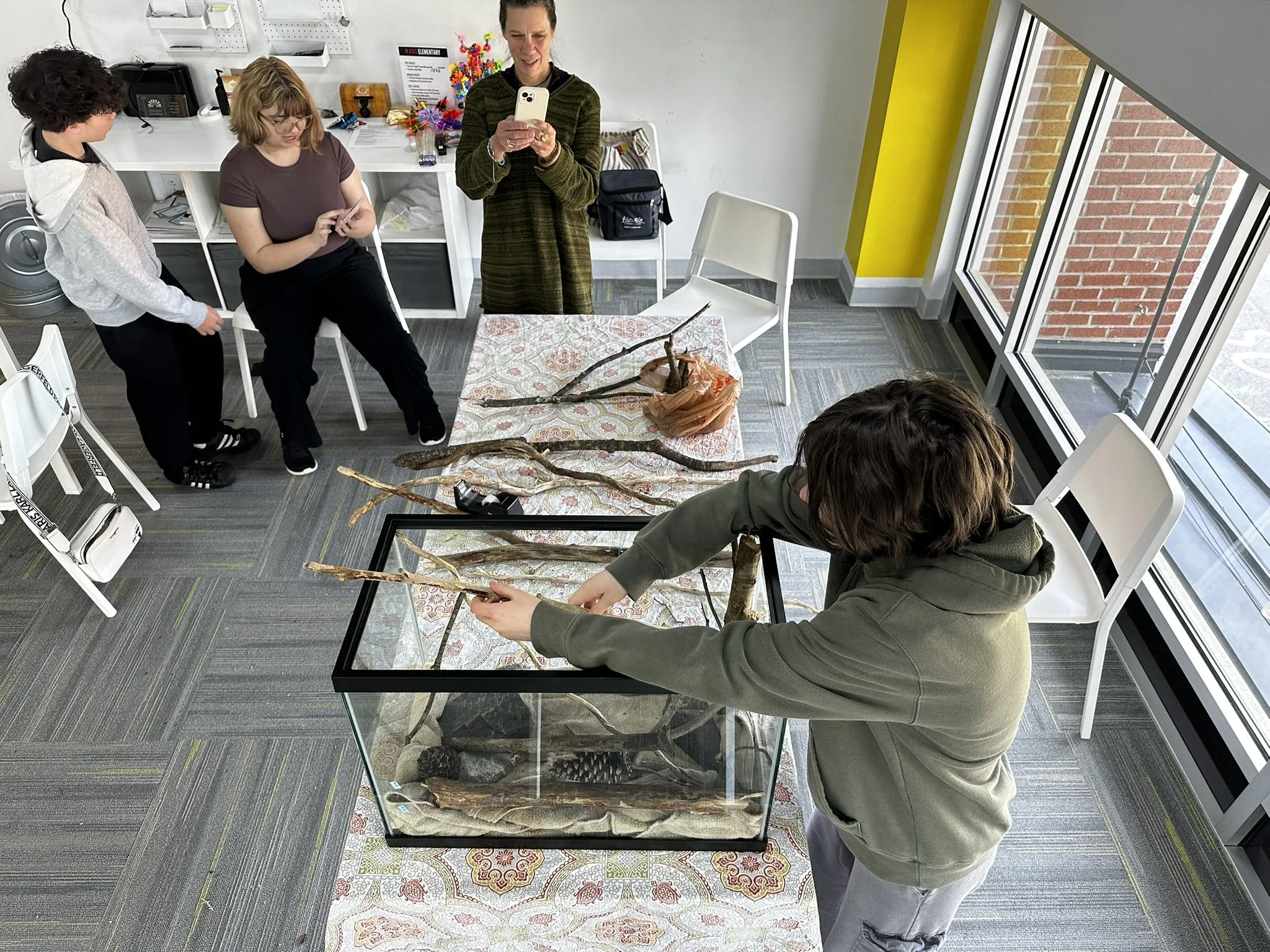 Students collaborating on a paludarium design using collected natural materials