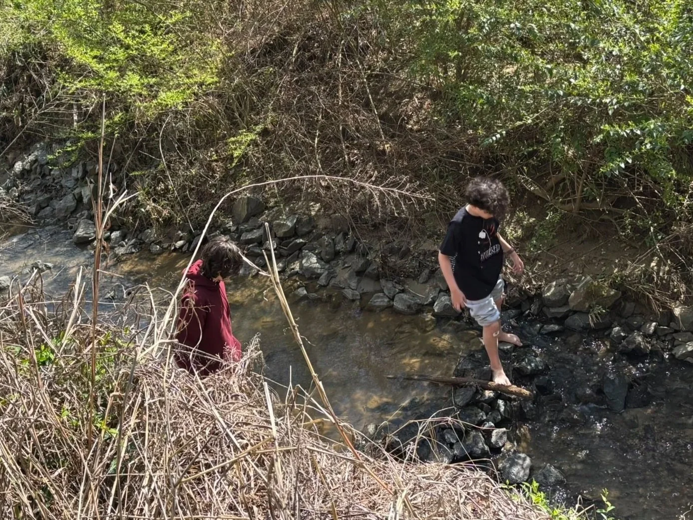 Students gathering natural materials outdoors for a paludarium project