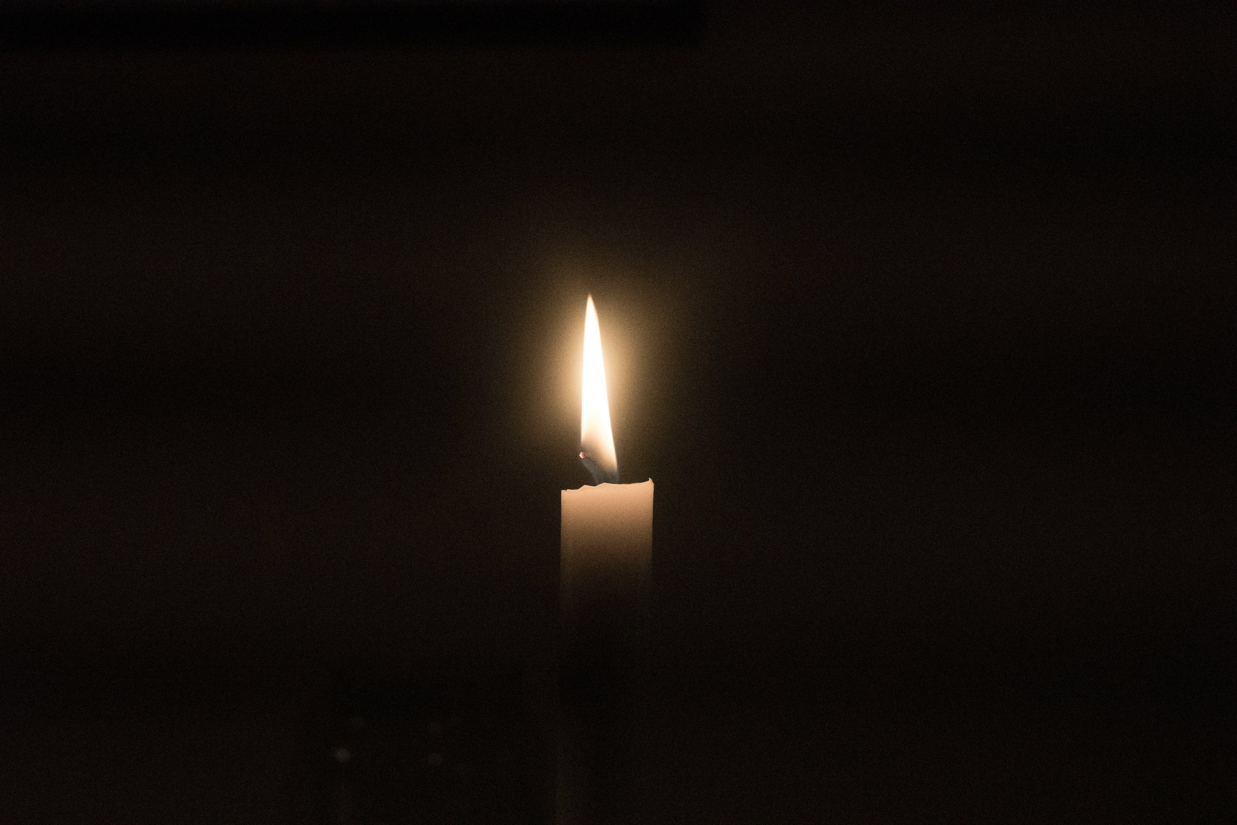 Navigating Loss: Finding Healing Through Connection
