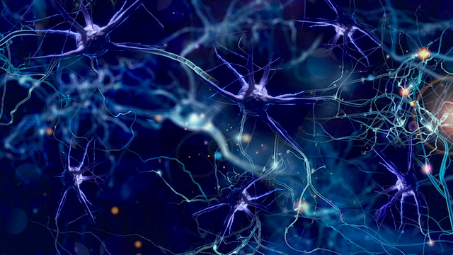 OFFLINE - Decision Detox