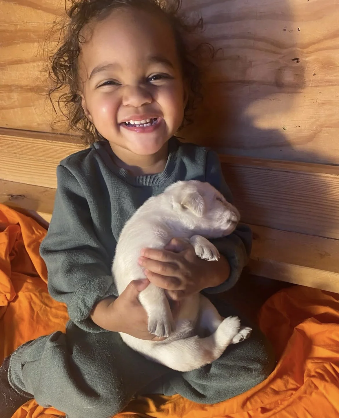 A young girl with curly hair smiling while holding a small puppy indoors on a wooden floor with an orange blanket.