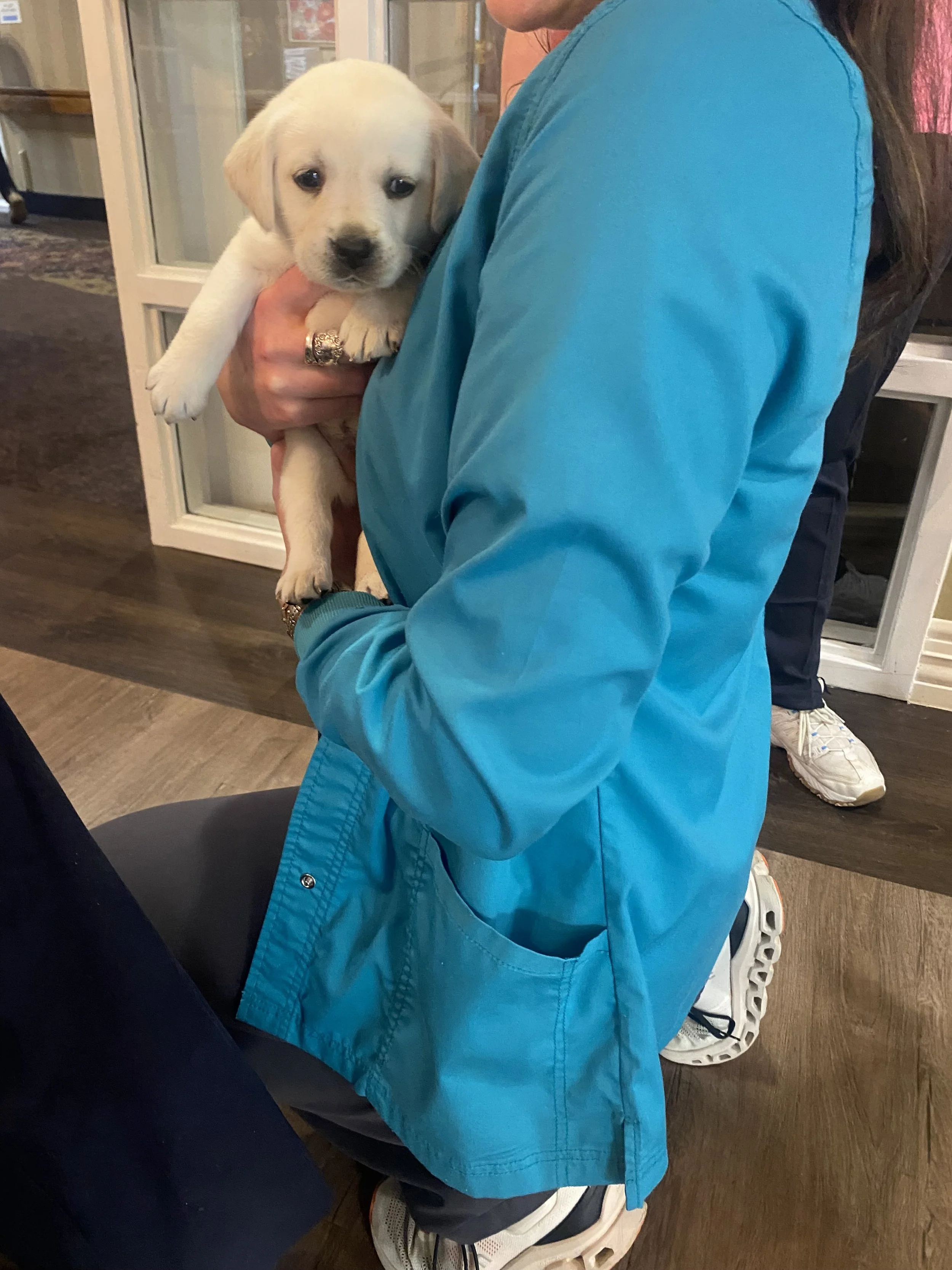 Person in a blue jacket holding a small light-colored puppy, inside a building.