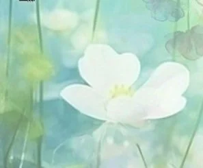KW Symphony Presents: Spring - featuring Edwin Outwater
