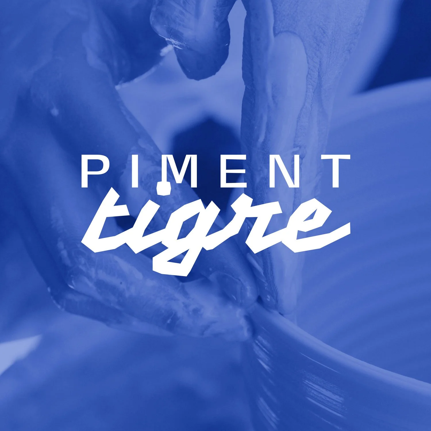 thomas_couthon-piment_tigre-logo-2025-04.jpg