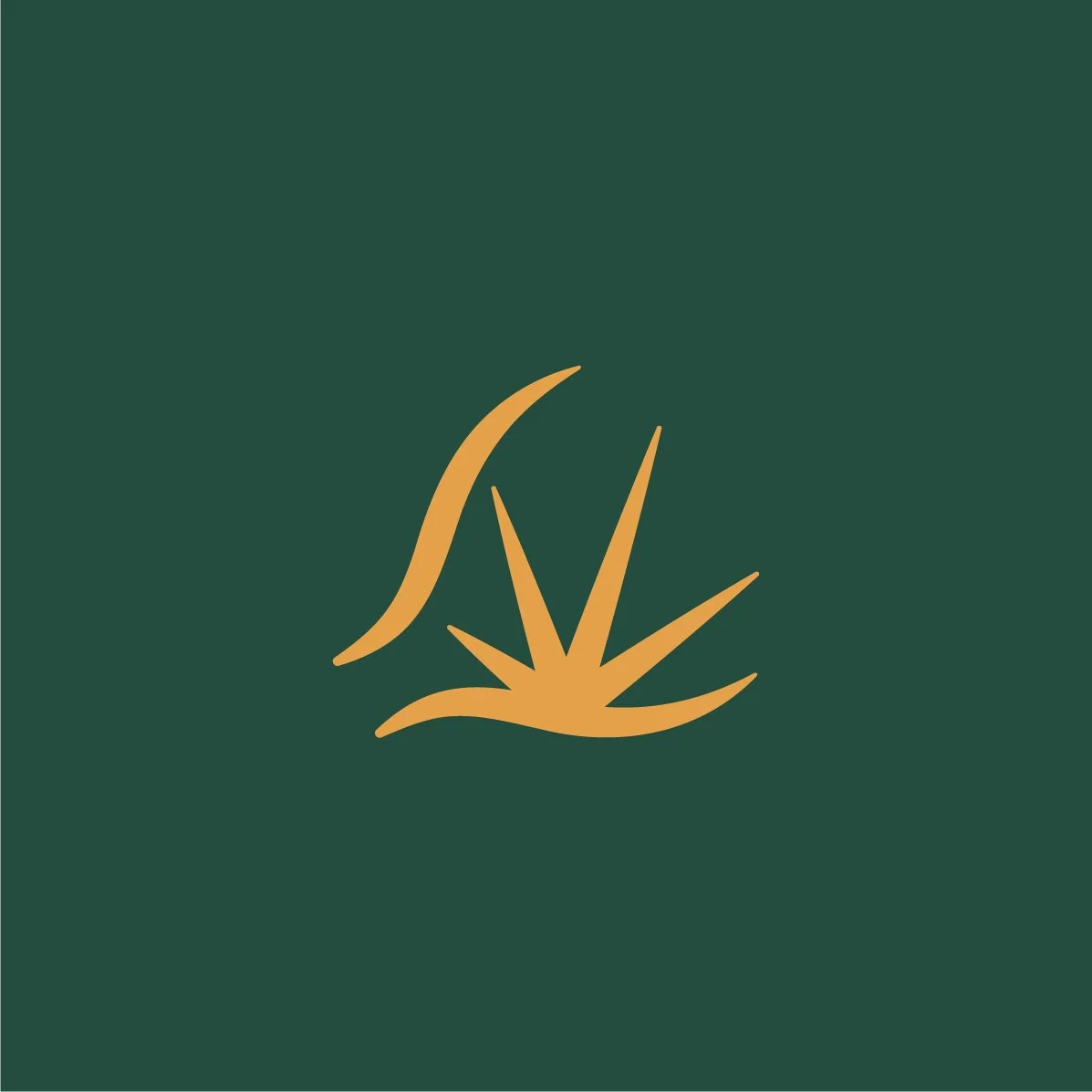 thomas_couthon-tesson-logo-2025-05.jpg