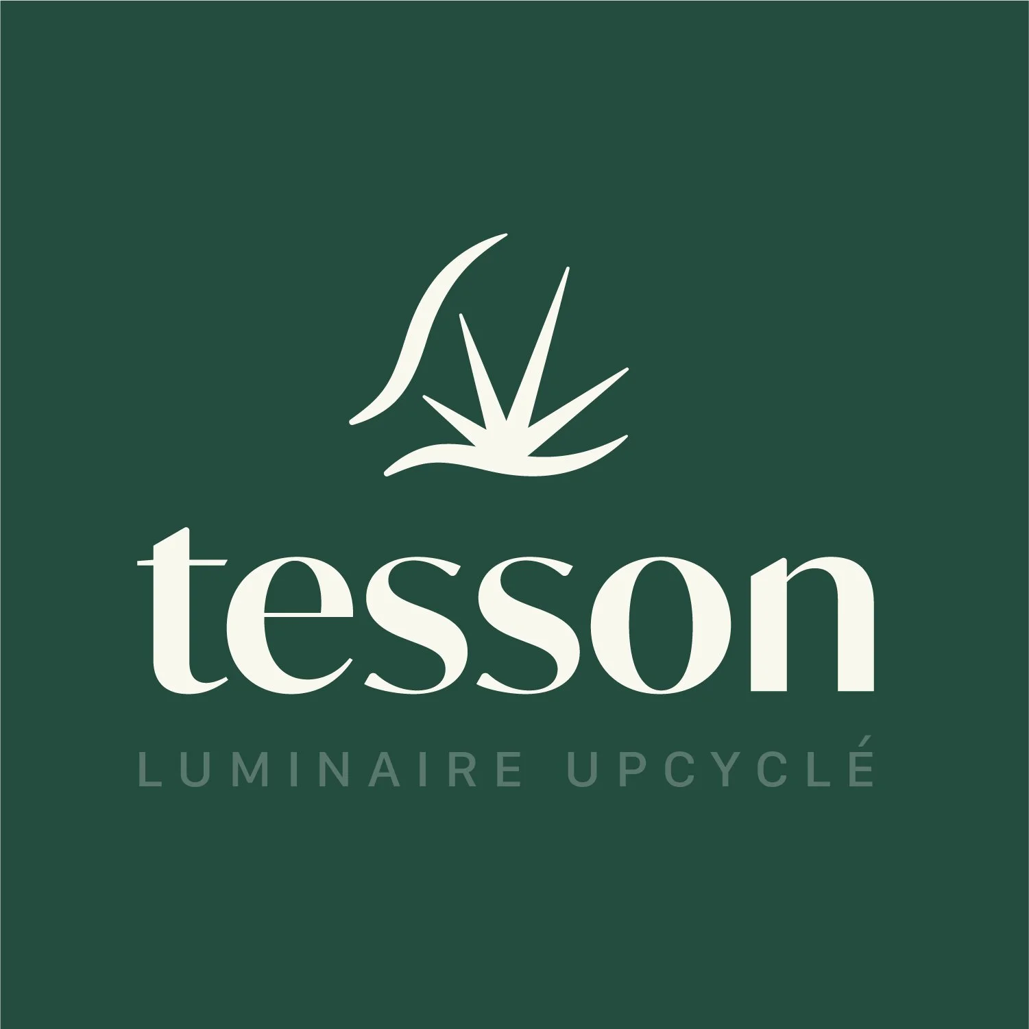thomas_couthon-tesson-logo-2025-01.jpg