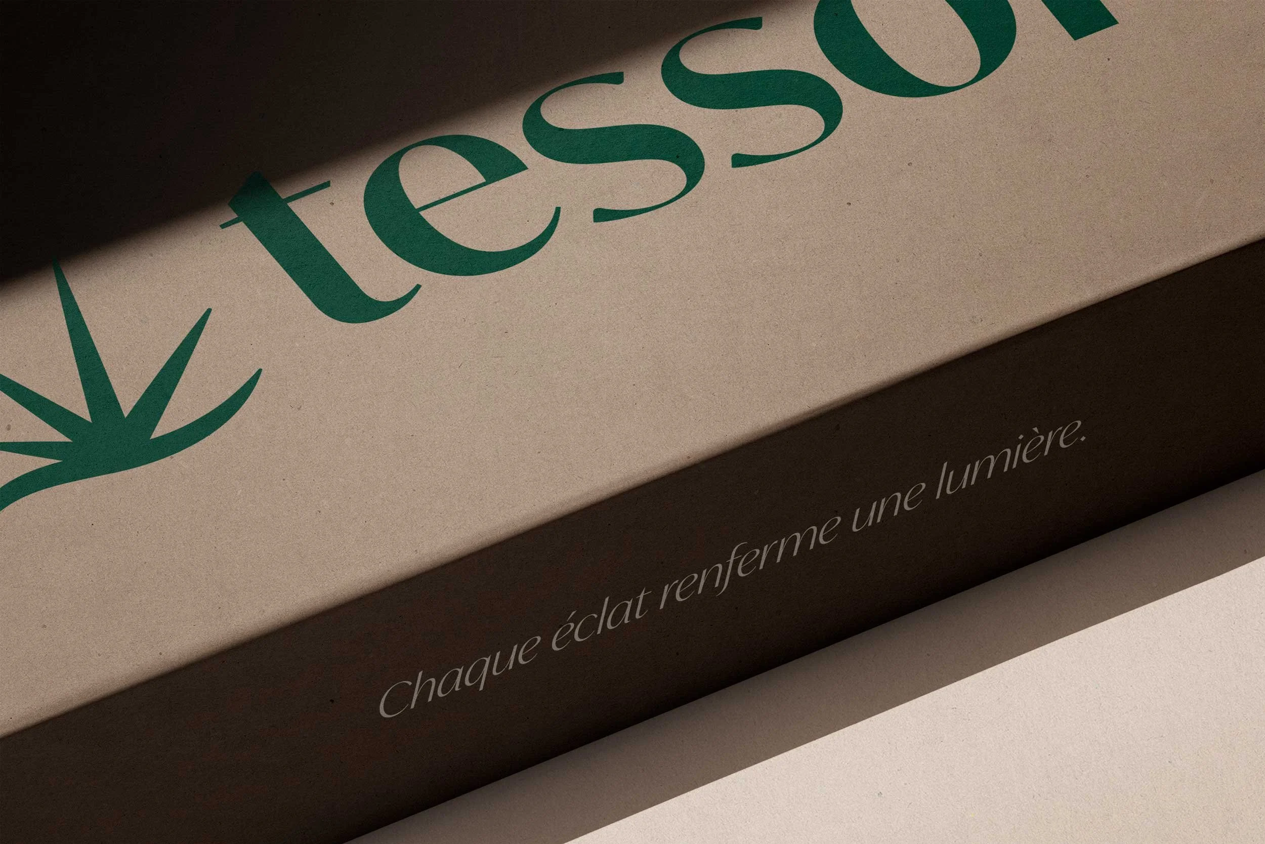 thomas_couthon-tesson-packaging-2025-01-cardboard.jpg
