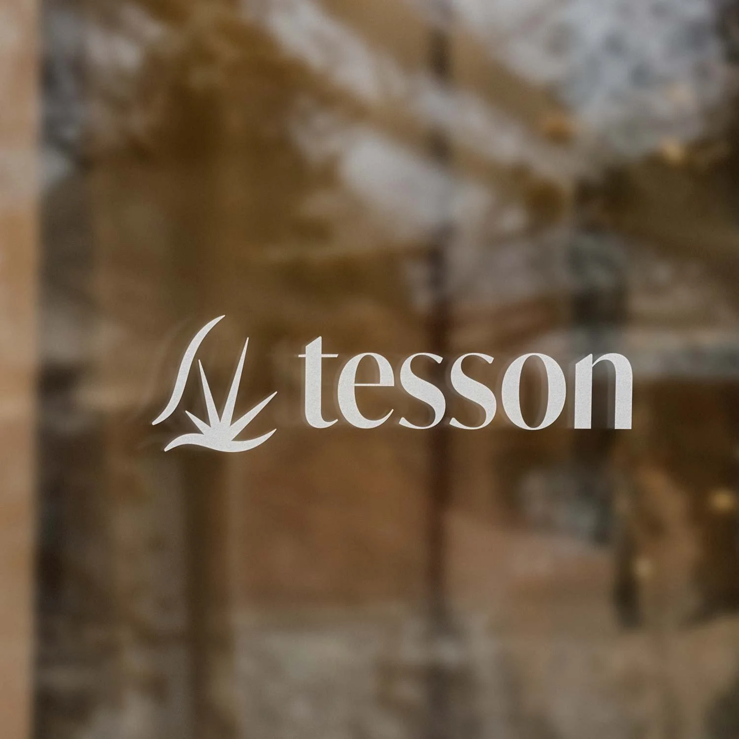 thomas_couthon-tesson-couverture_portfolio-2025-01.jpg