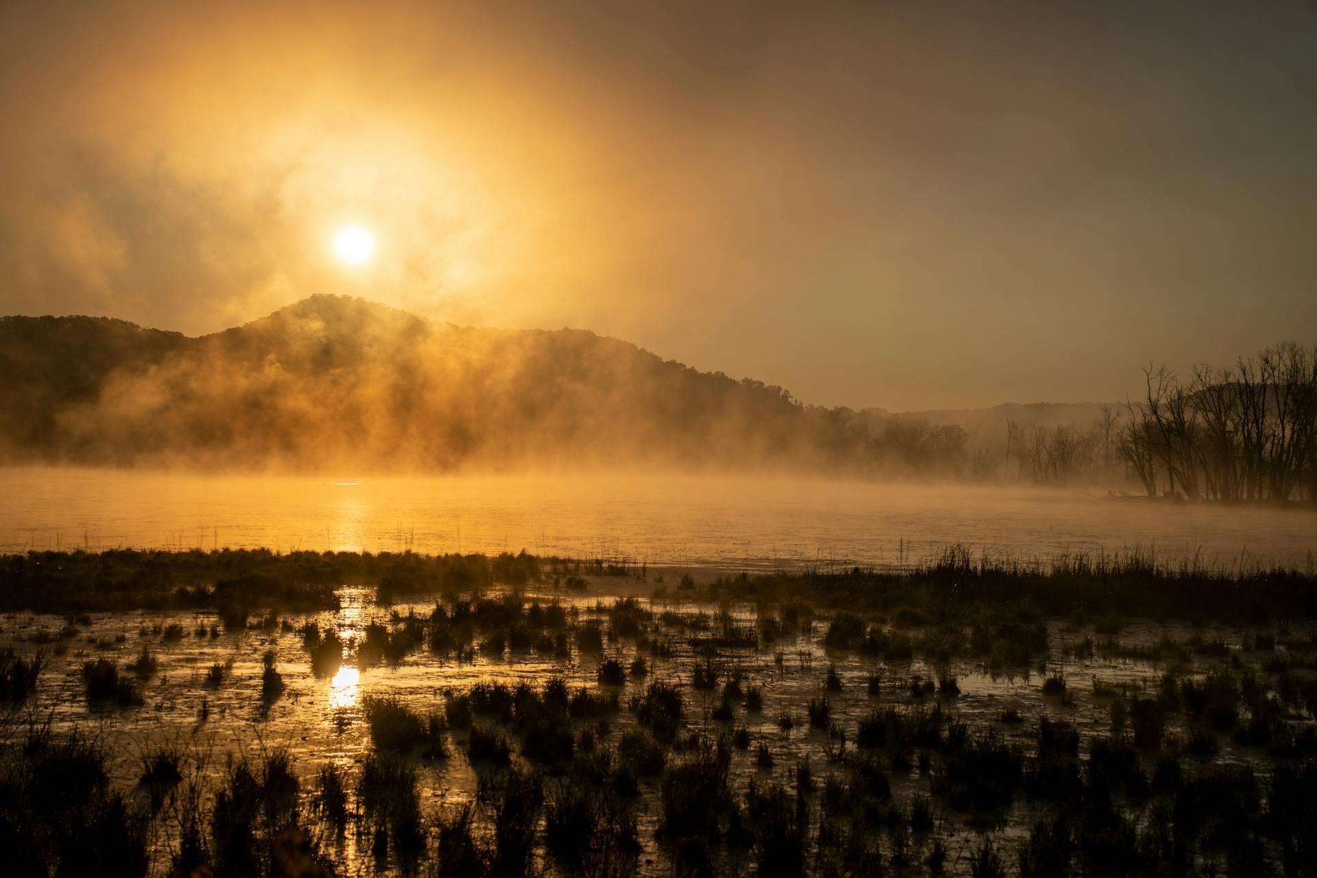 Where the Sky Meets the Canvas: The Rise of Atmospheric Art