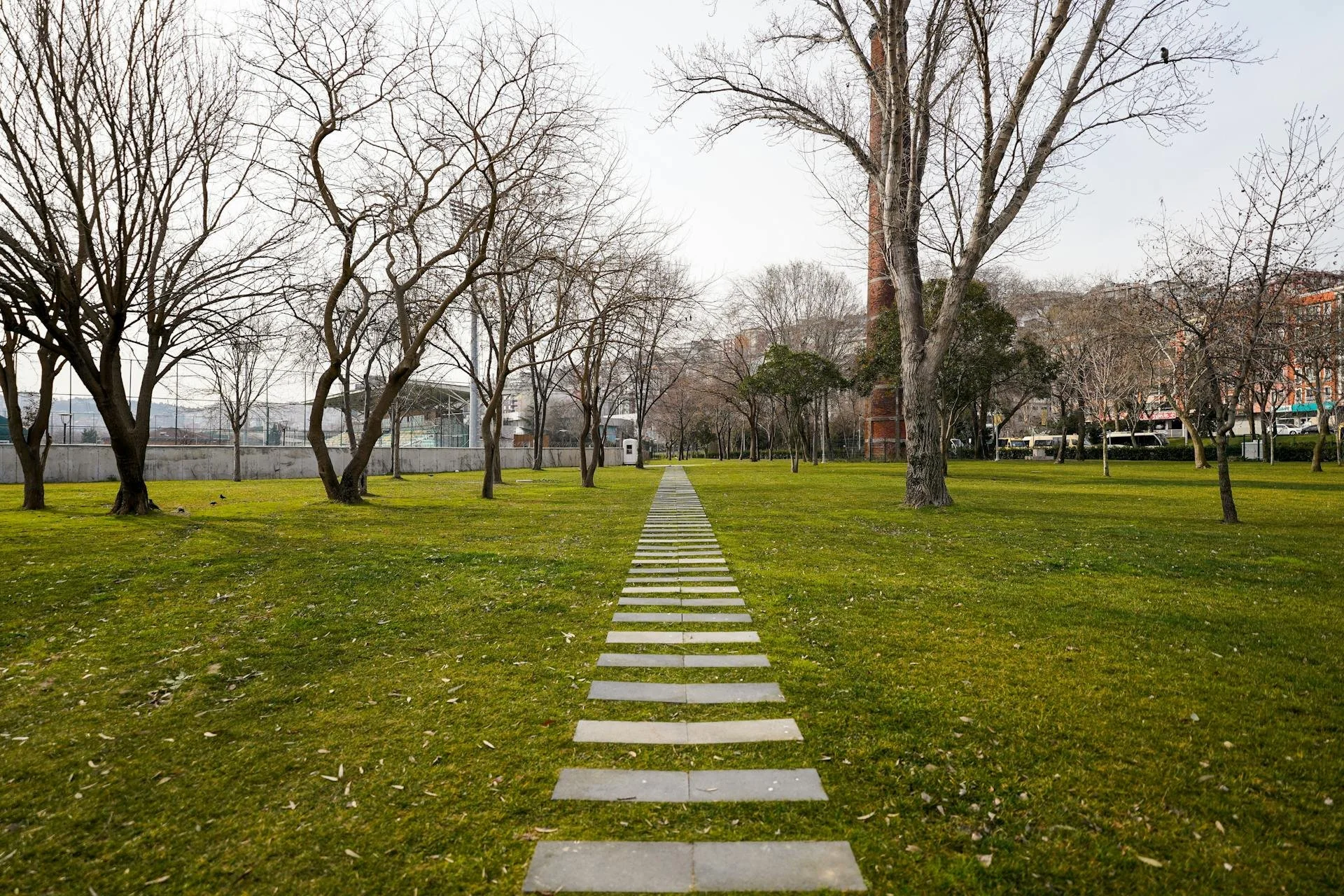 How Cities Change Us: When Architecture Becomes a Shared Ritual
