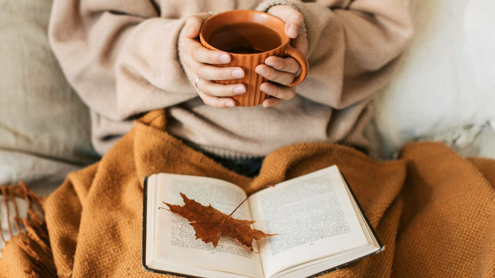 10 Must-Read Books Coming Fall 2025 — Novels of Memory, Love, and Change