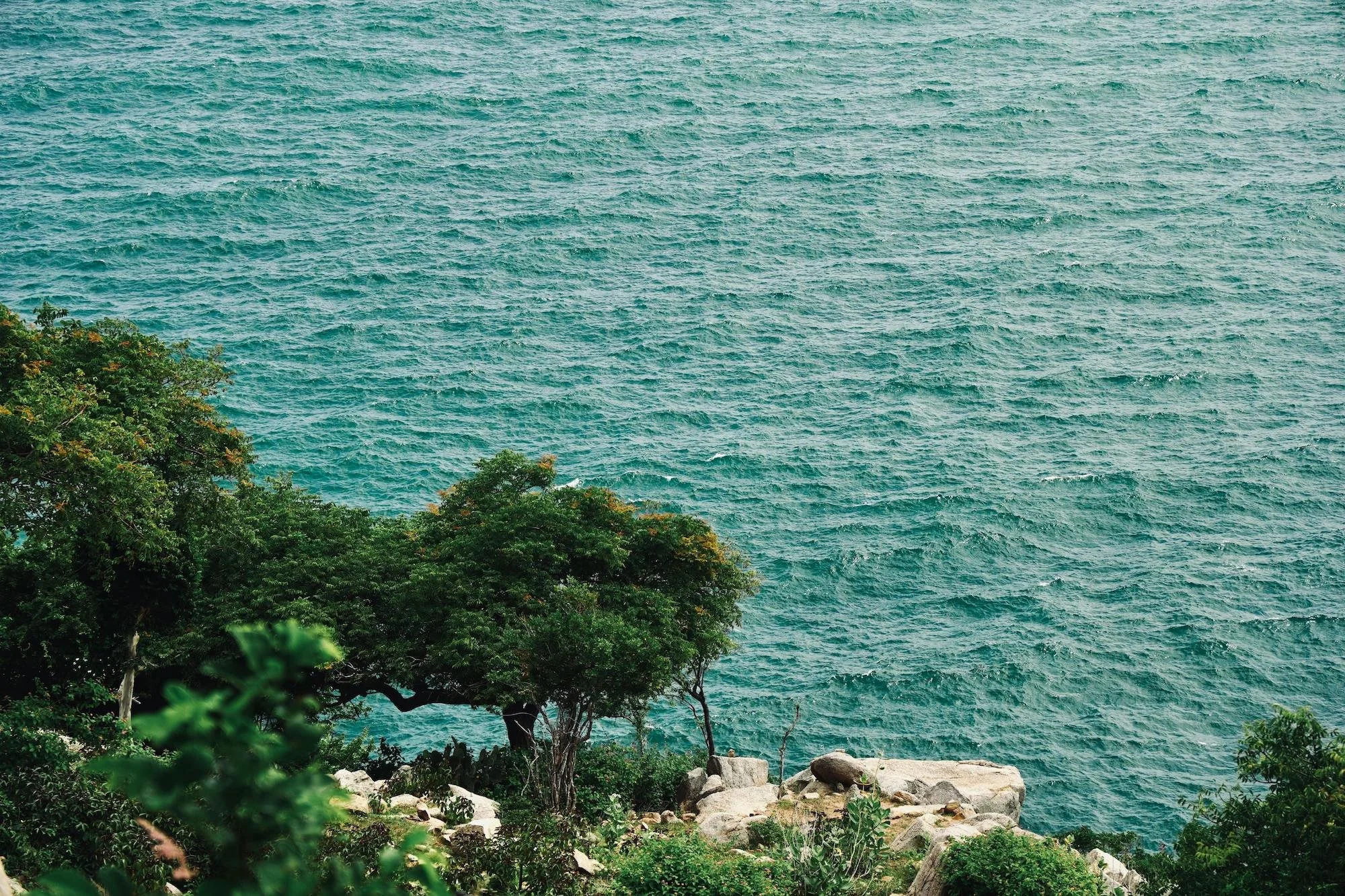 Scenic Ocean View with Lush Greenery and Rocks
