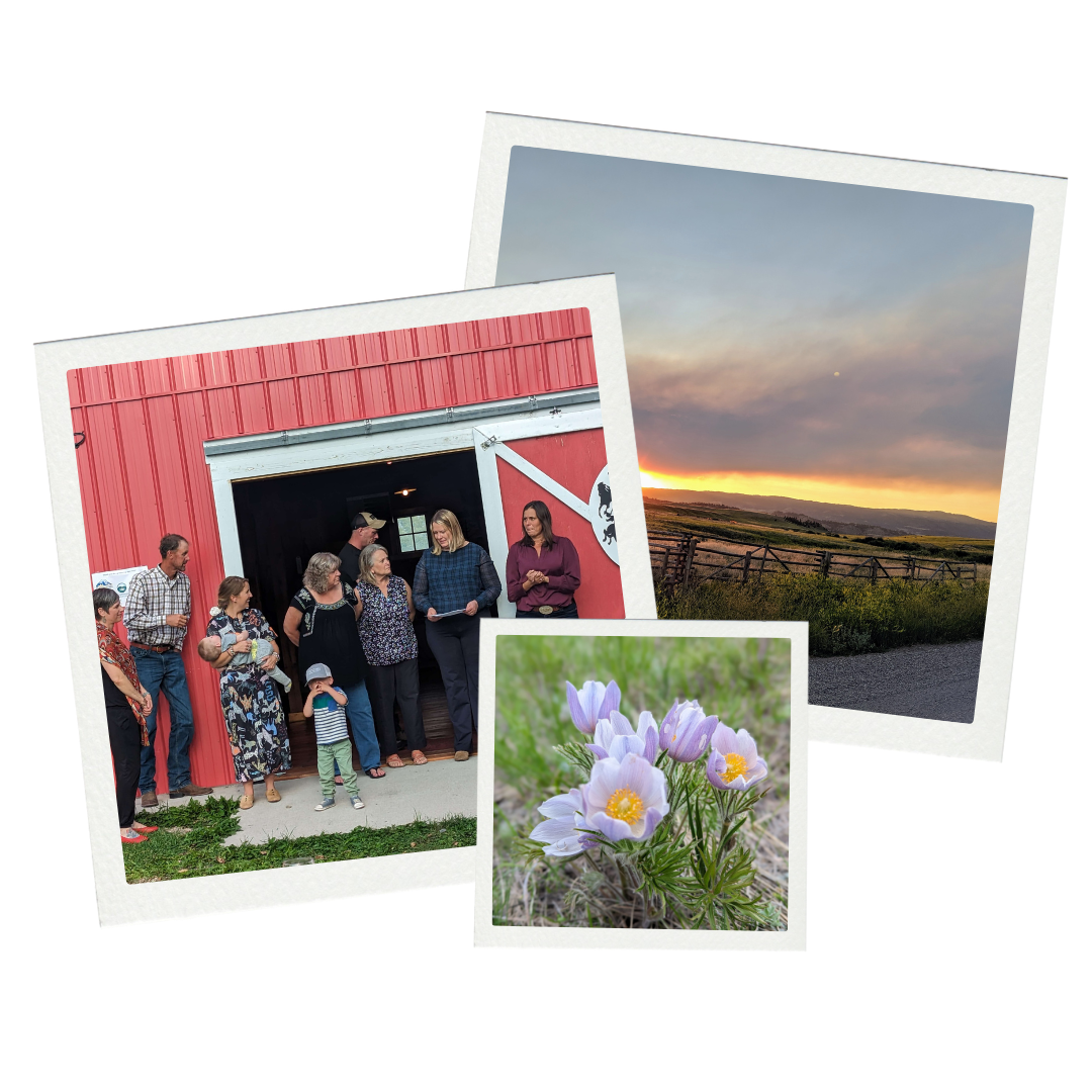 A collage of three photographs: a group of people standing outside a red barn, a sunset over a rural landscape, and close-up of purple flowers.