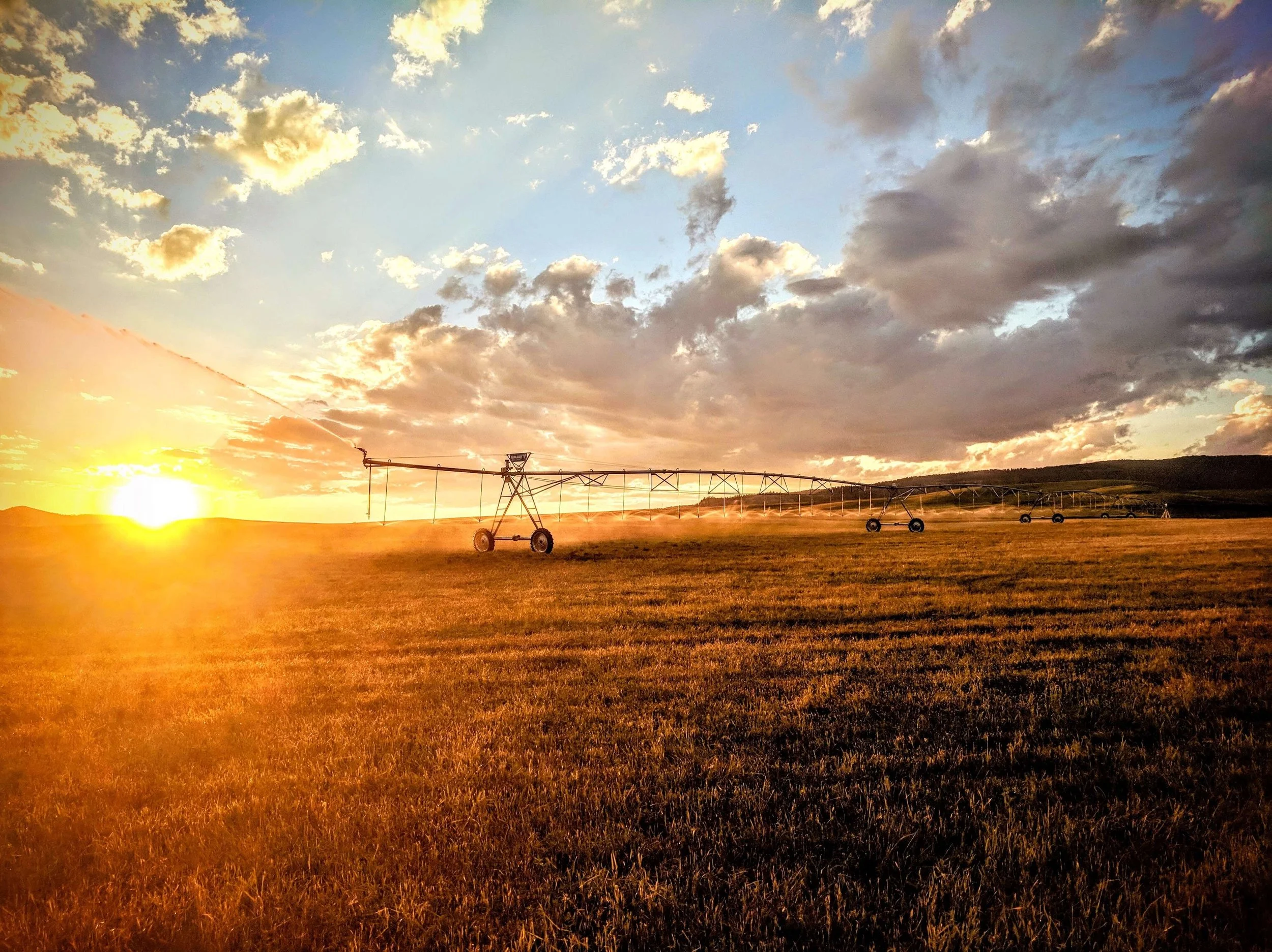 pivot-over-hayfield.jpeg
