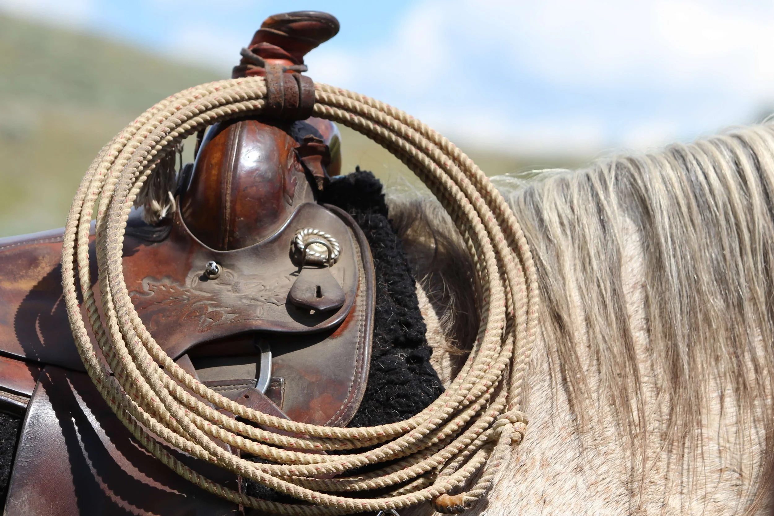 rope-on-western-saddle.jpeg