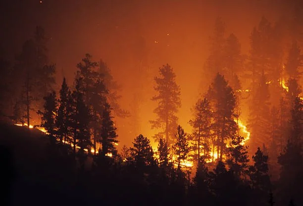Neighbors Helping Neighbors:  Wildfire Relief for Local Ranchers