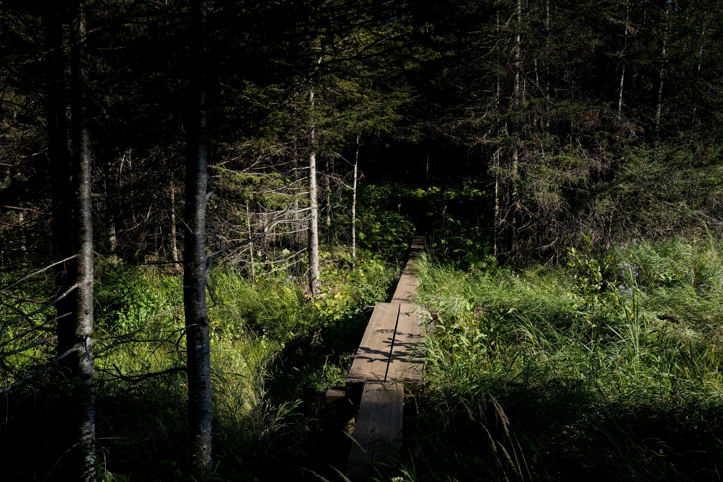 L1033126.jpg