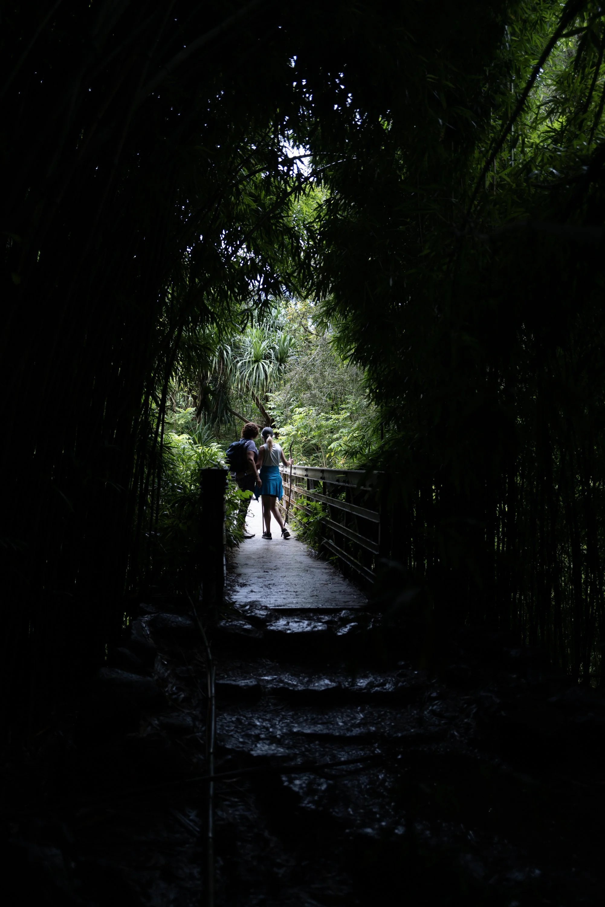 Hikers on bridge