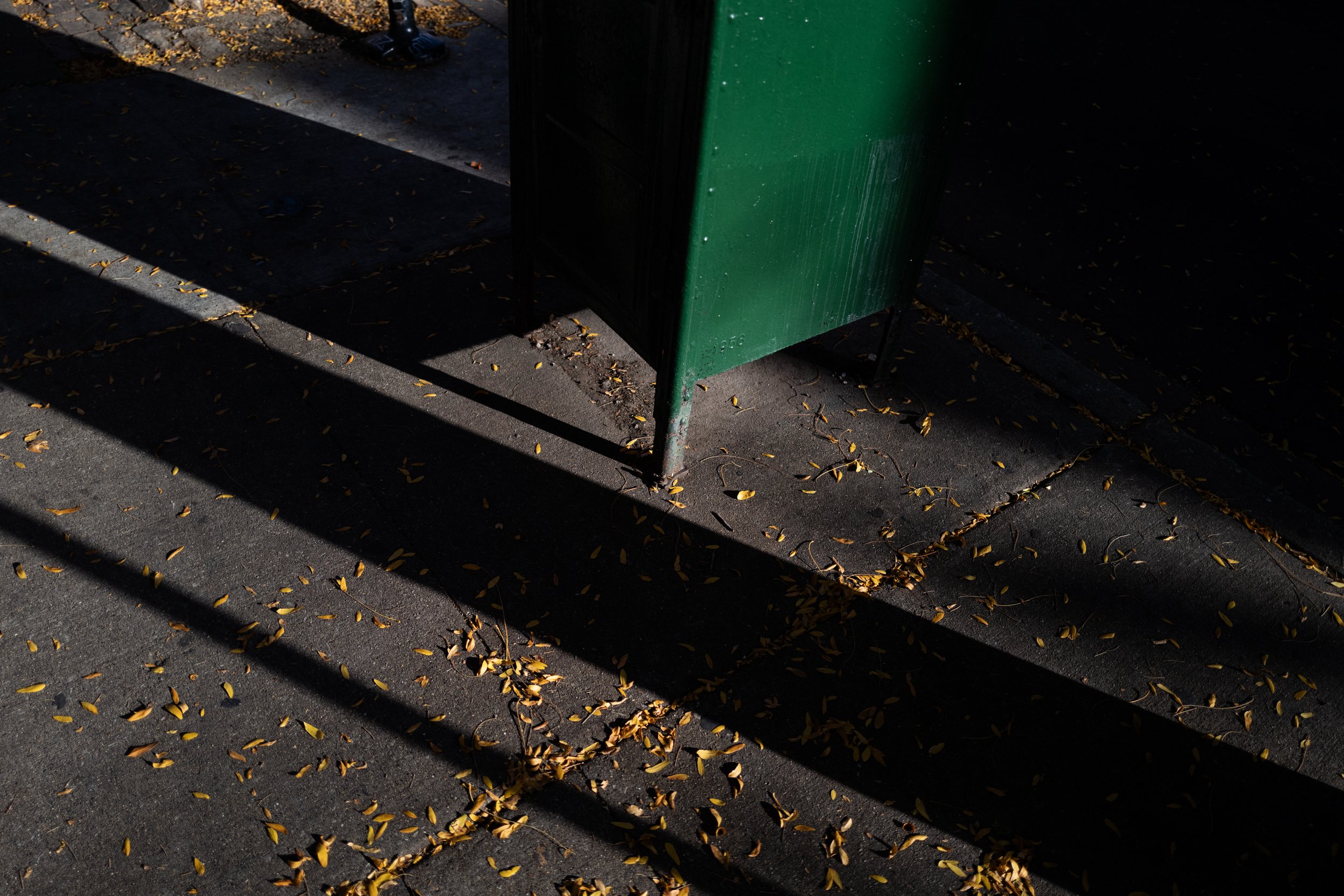 L1050984.jpg