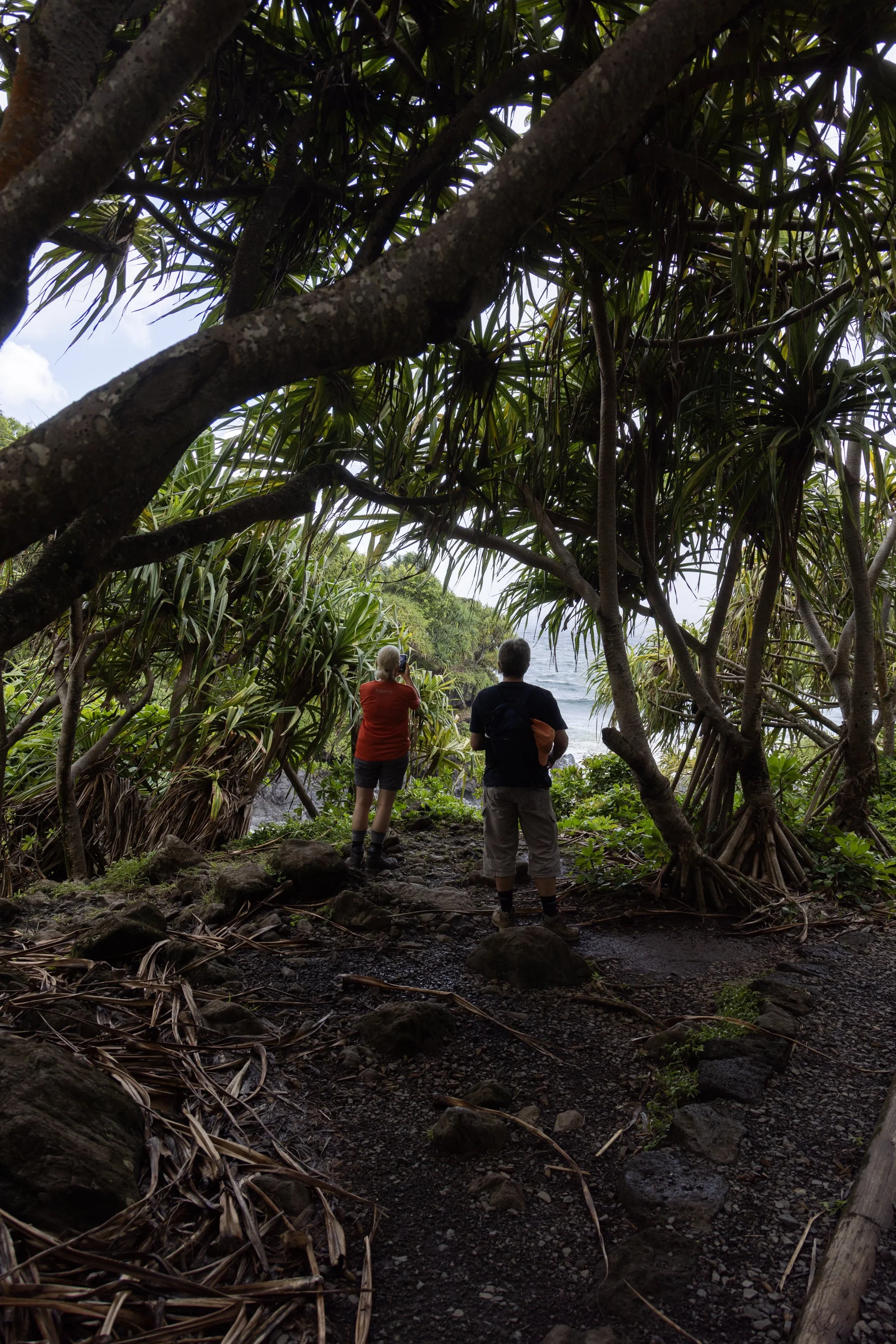 Hikers