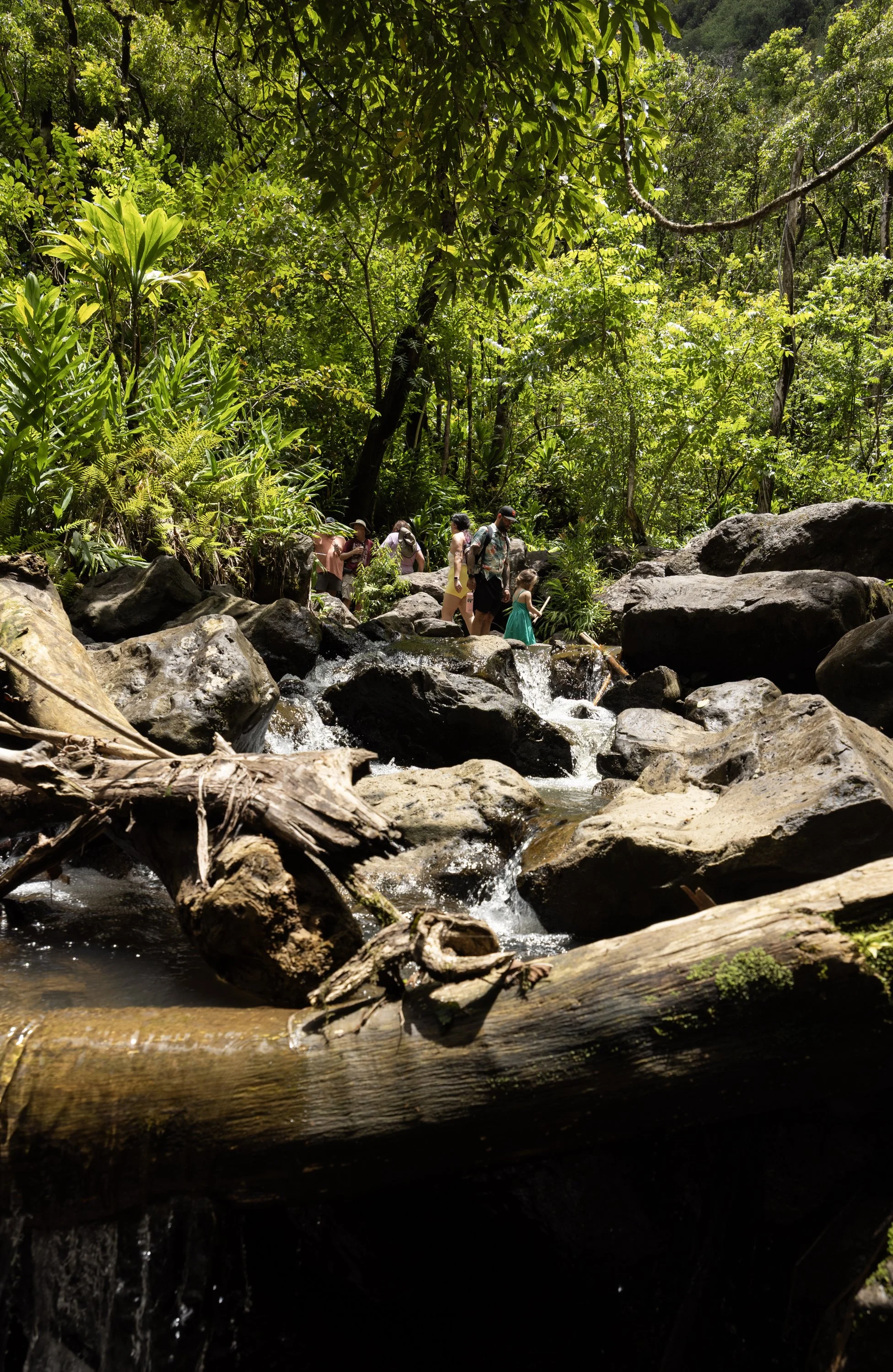 Hikers crossing stream near falls