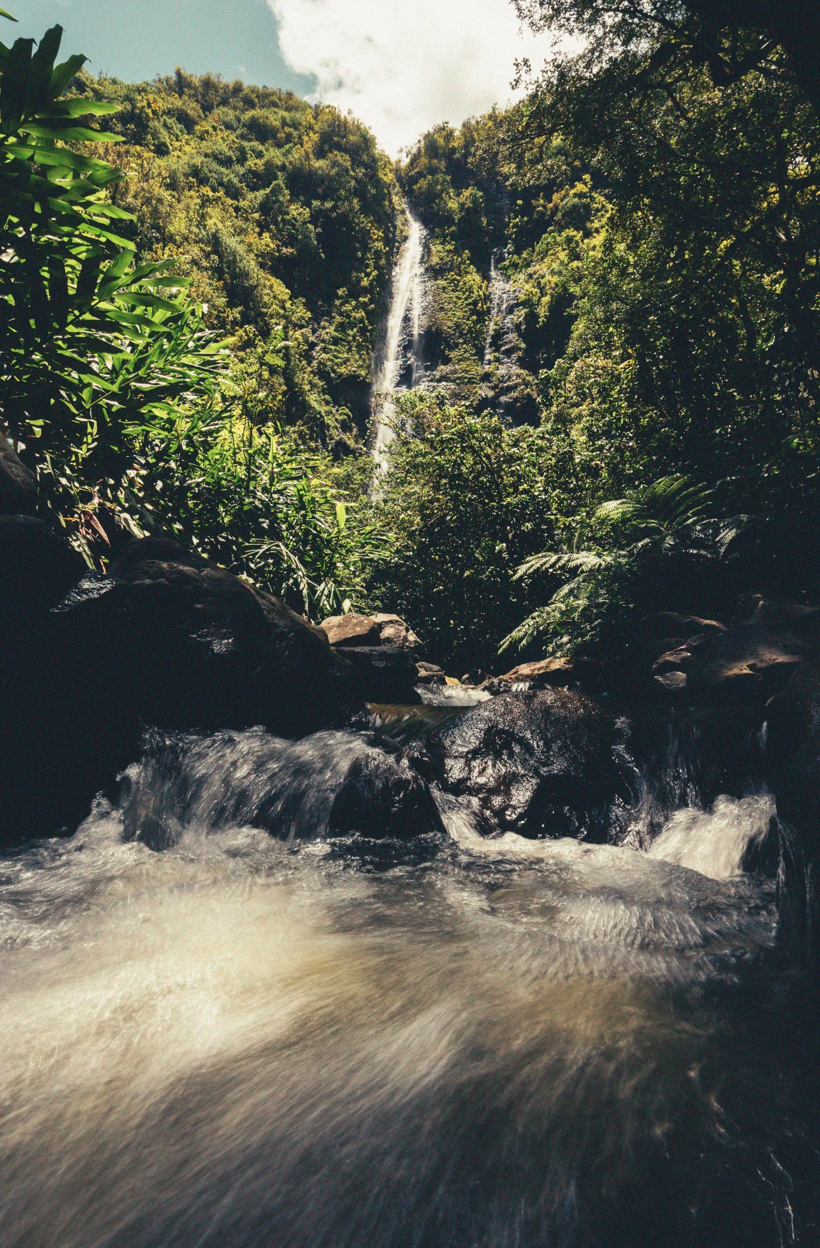 IMG_3584-Edit-Edit.jpg