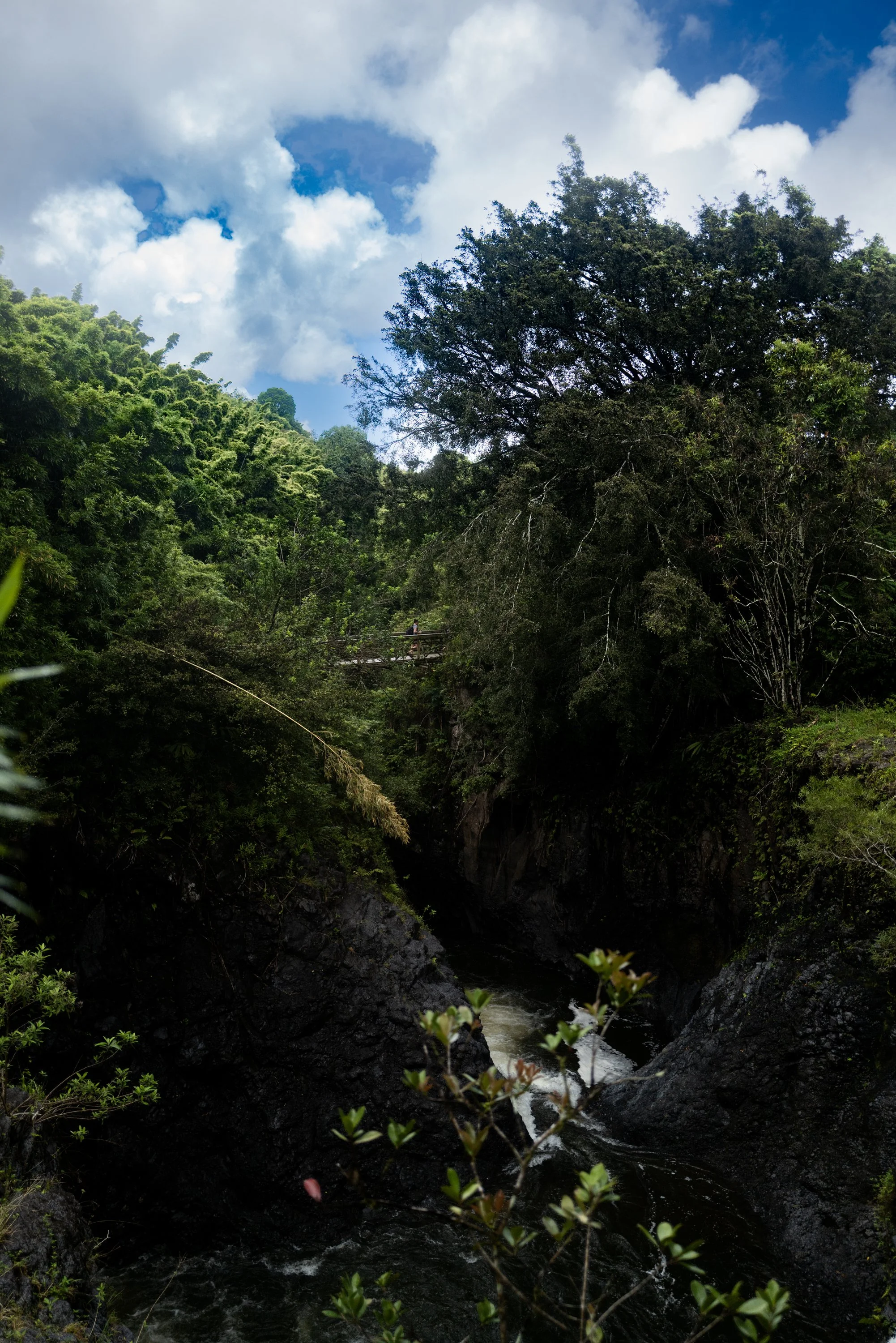 Bridge