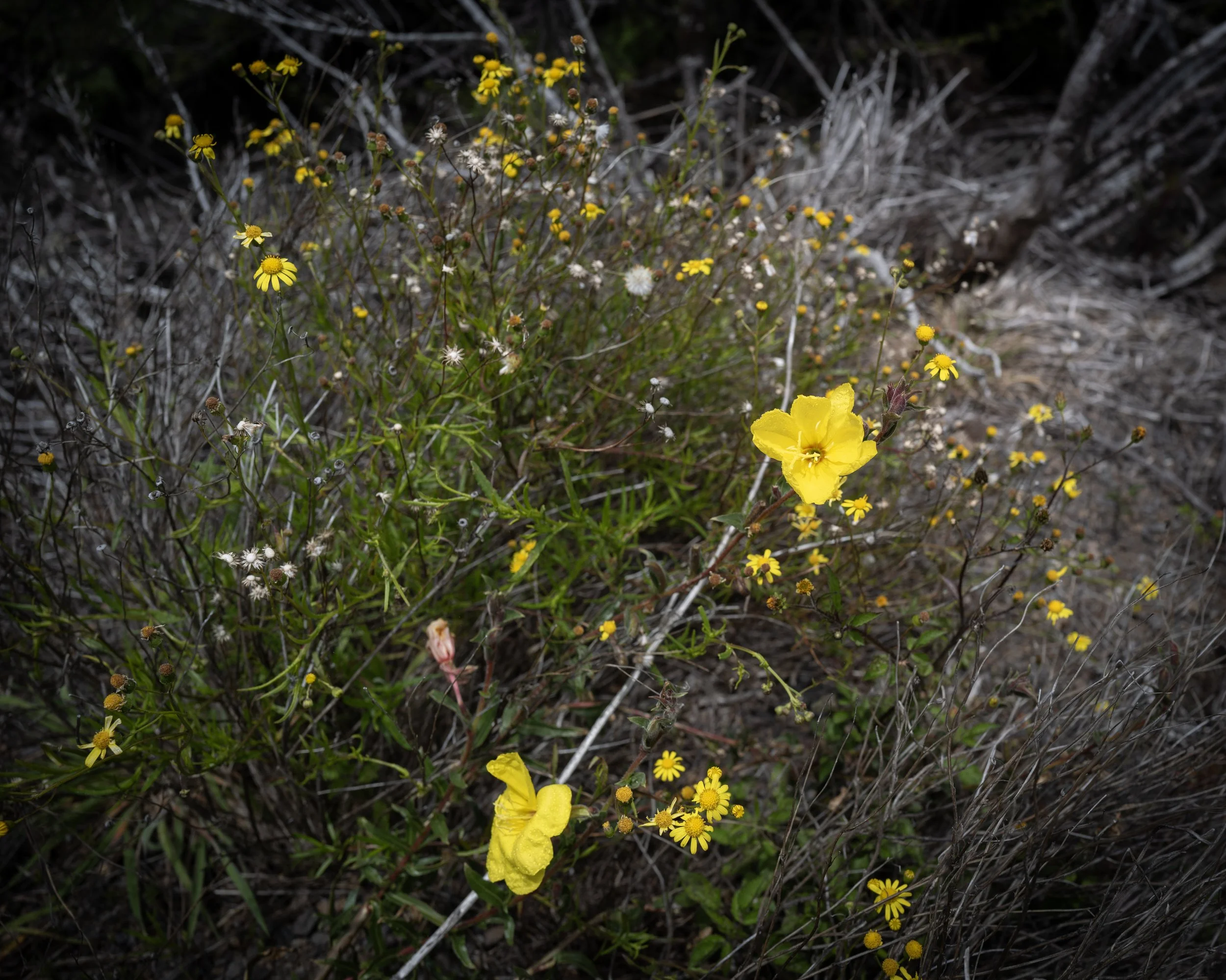 L1111073.jpg