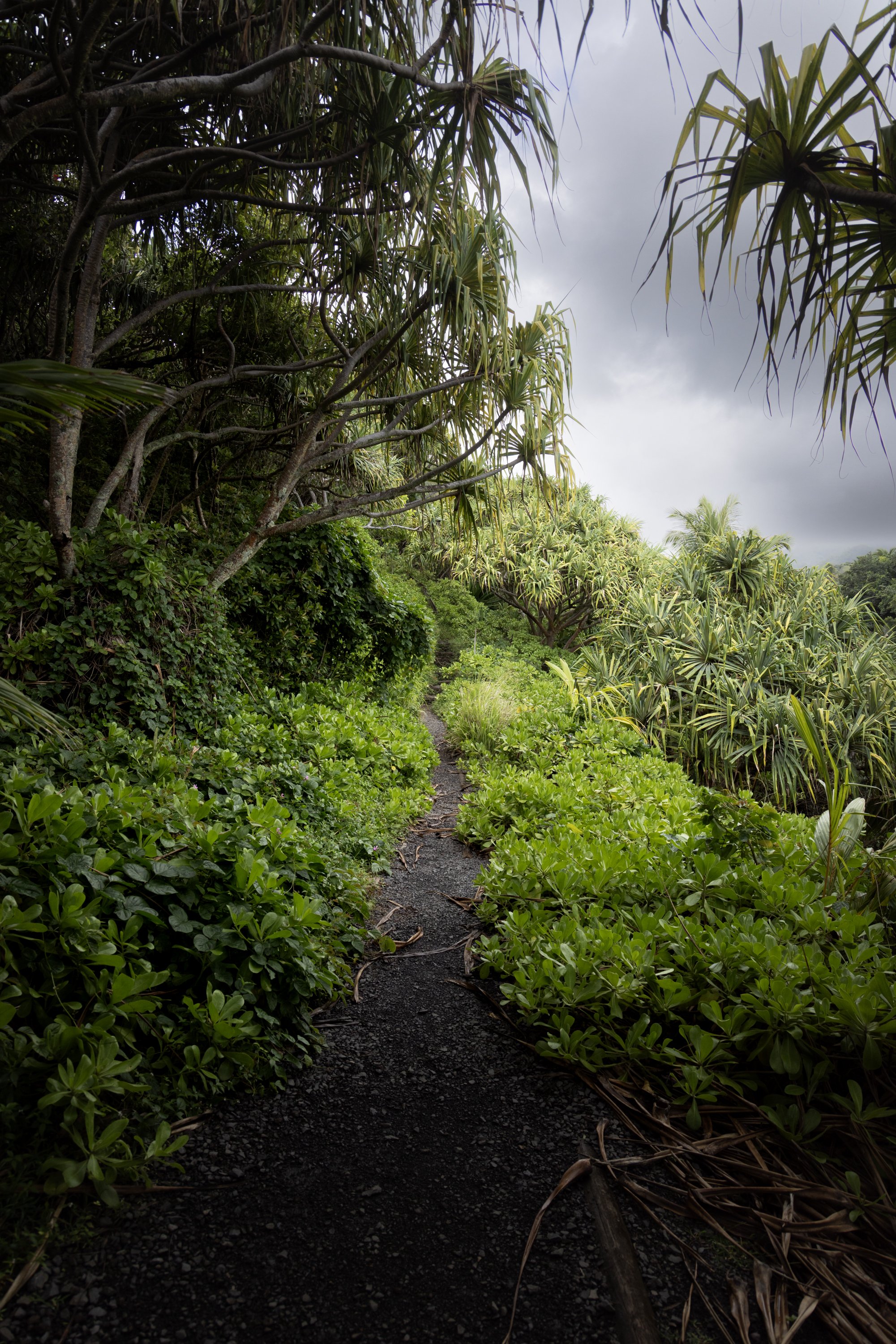 trail leading back to visitor center
