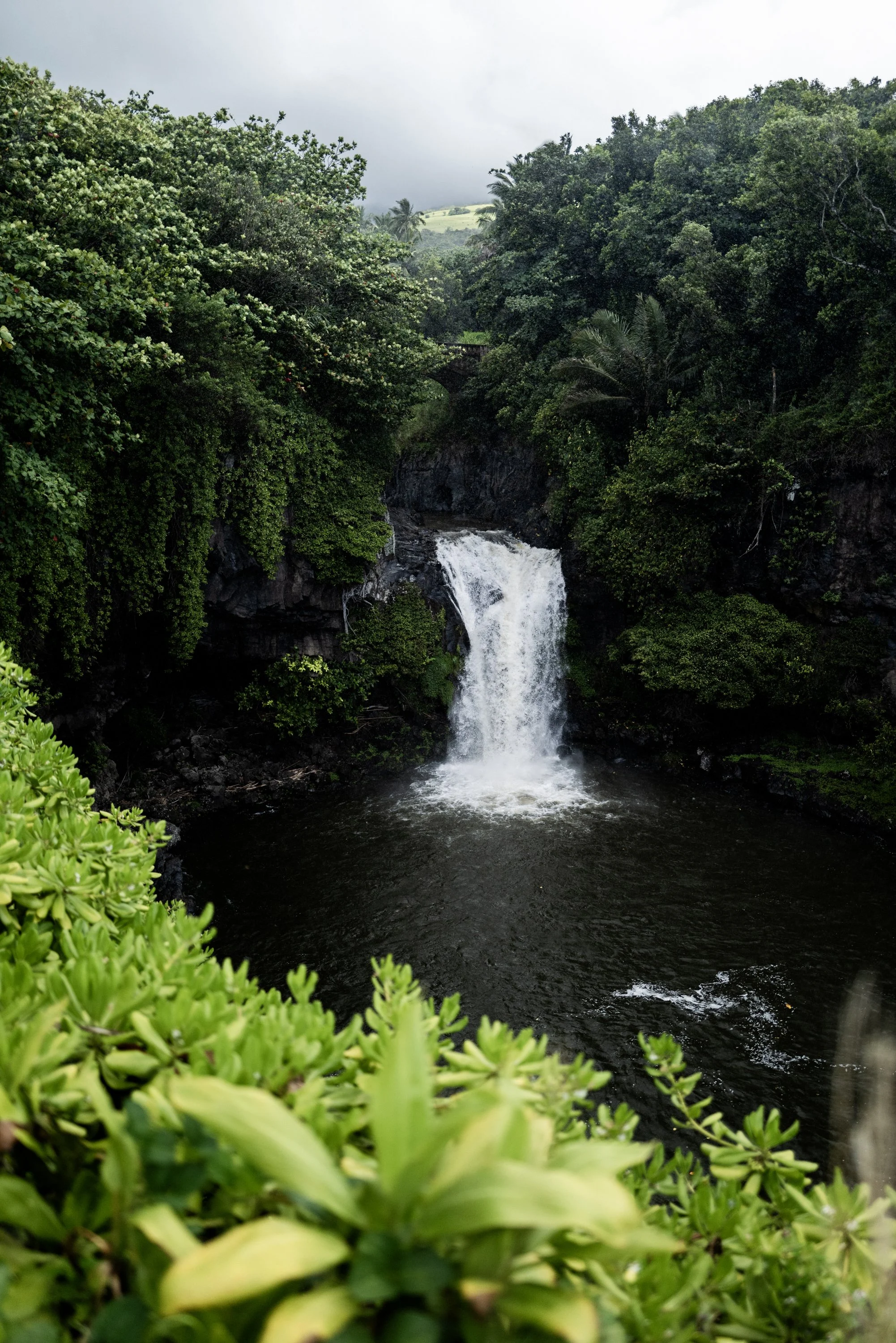 Top of seven sacred pools