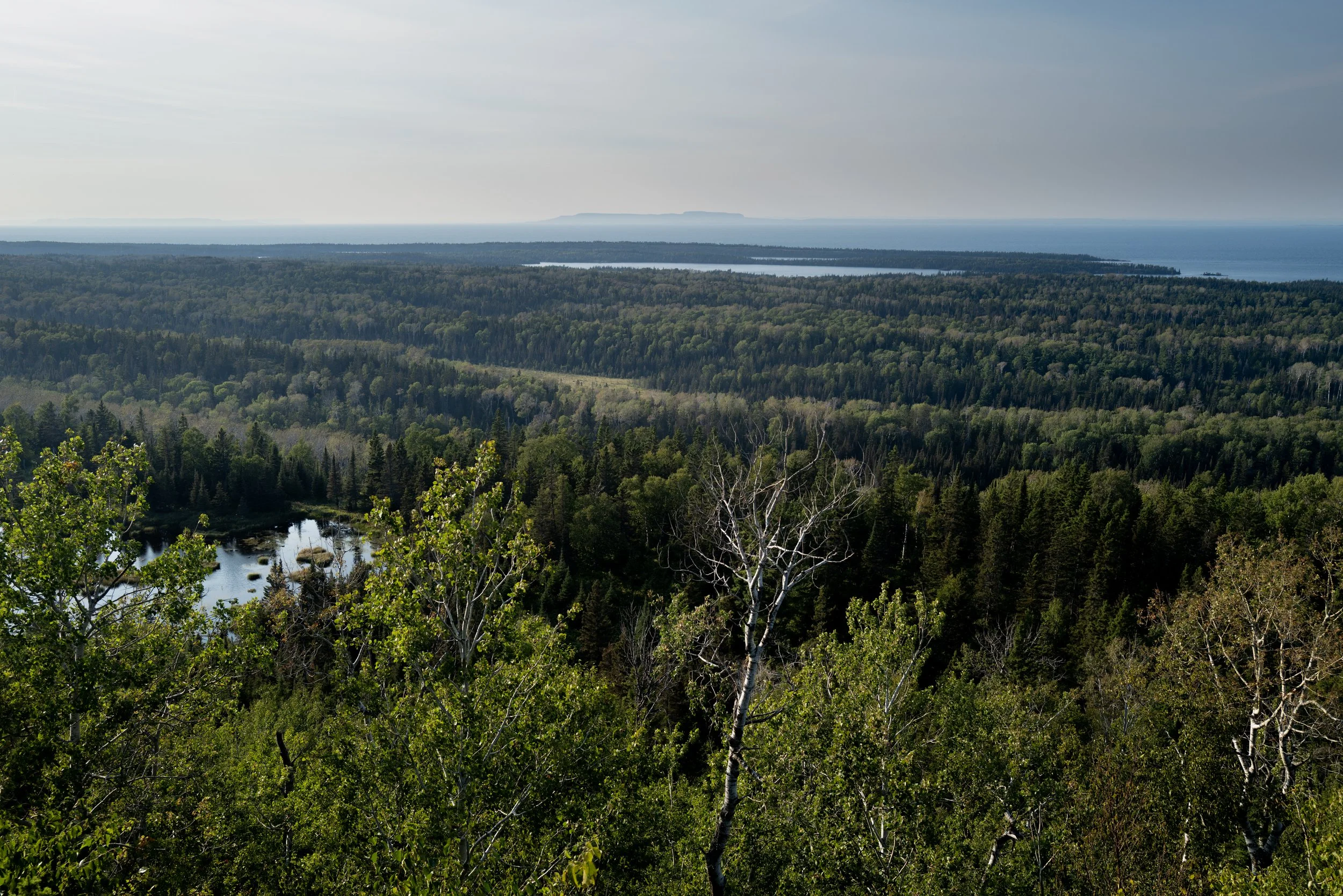 L1033156.jpg