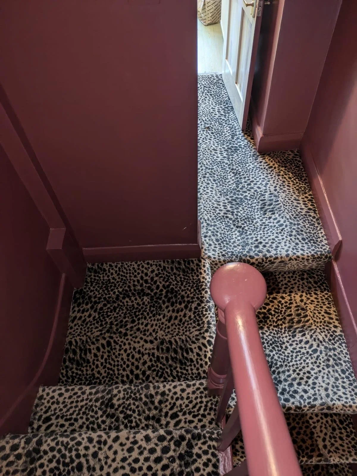 A staircase covered with leopard print carpet, with purple-painted walls and a pink-colored handrail.