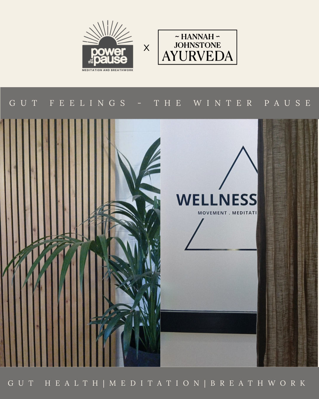 Gut Feelings - The Winter Pause