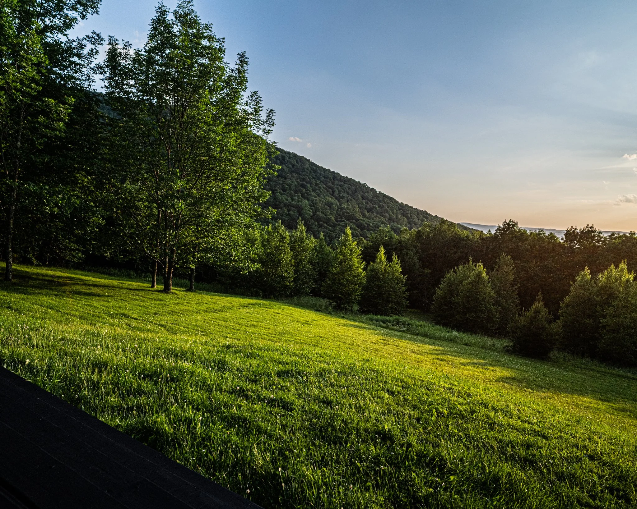 Sunset over a lush green meadow with trees and a mountain in the background.