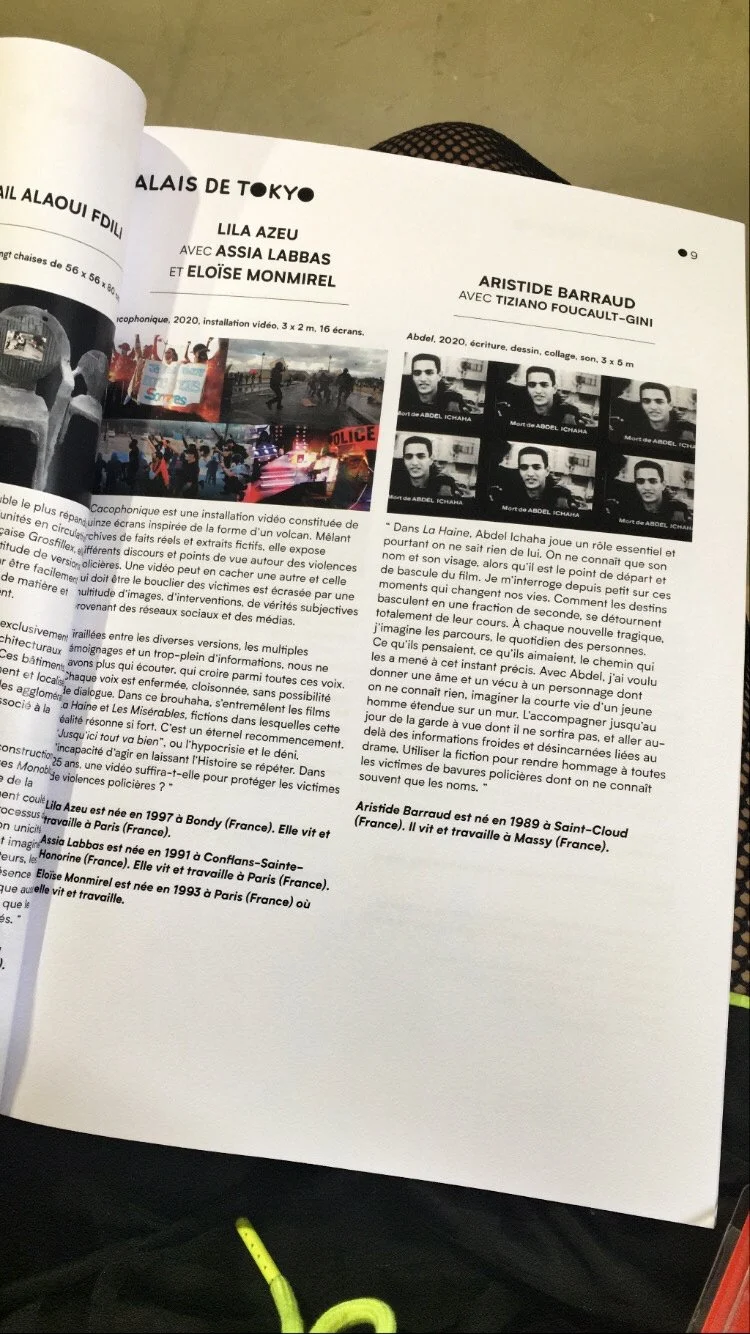 Expo Palais de Tokyo présentation Cacophonique.jpg