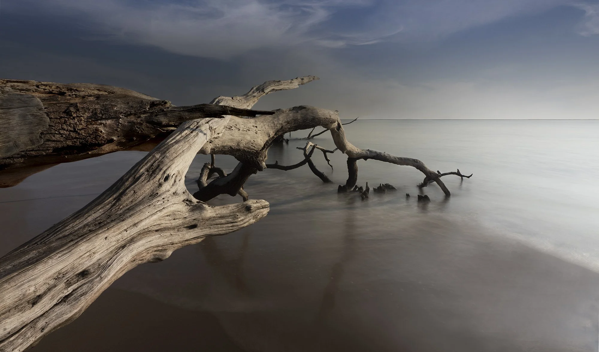 Fallen but not Forgotten