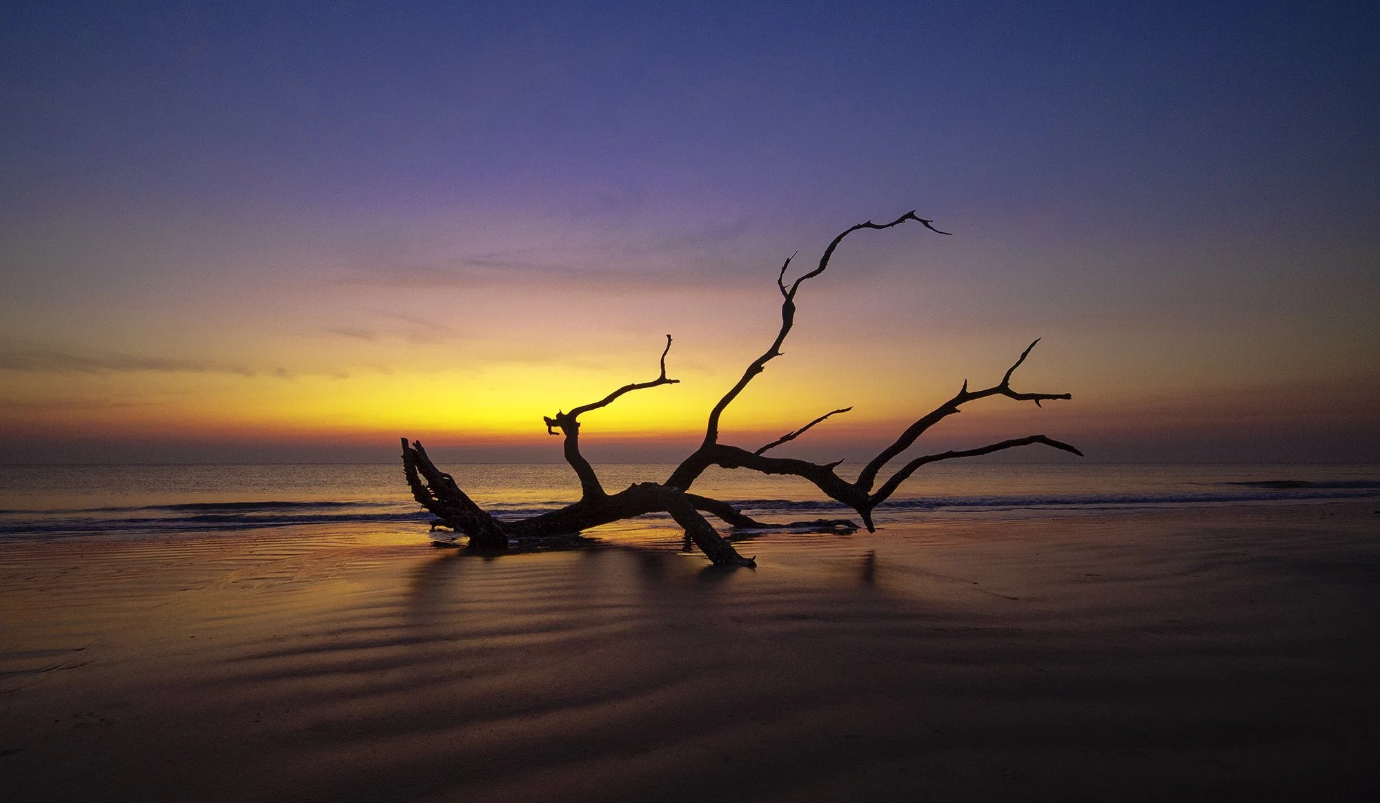 Reaching for Dawn