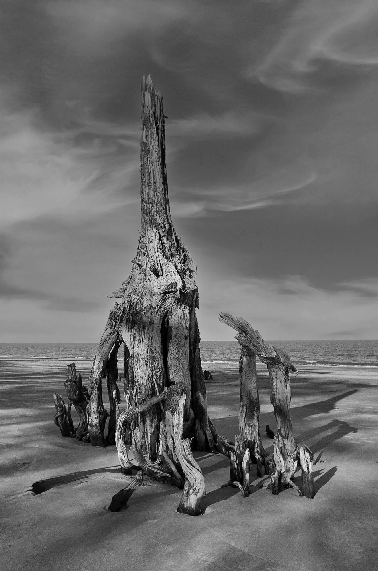 Sentinel of the Tide