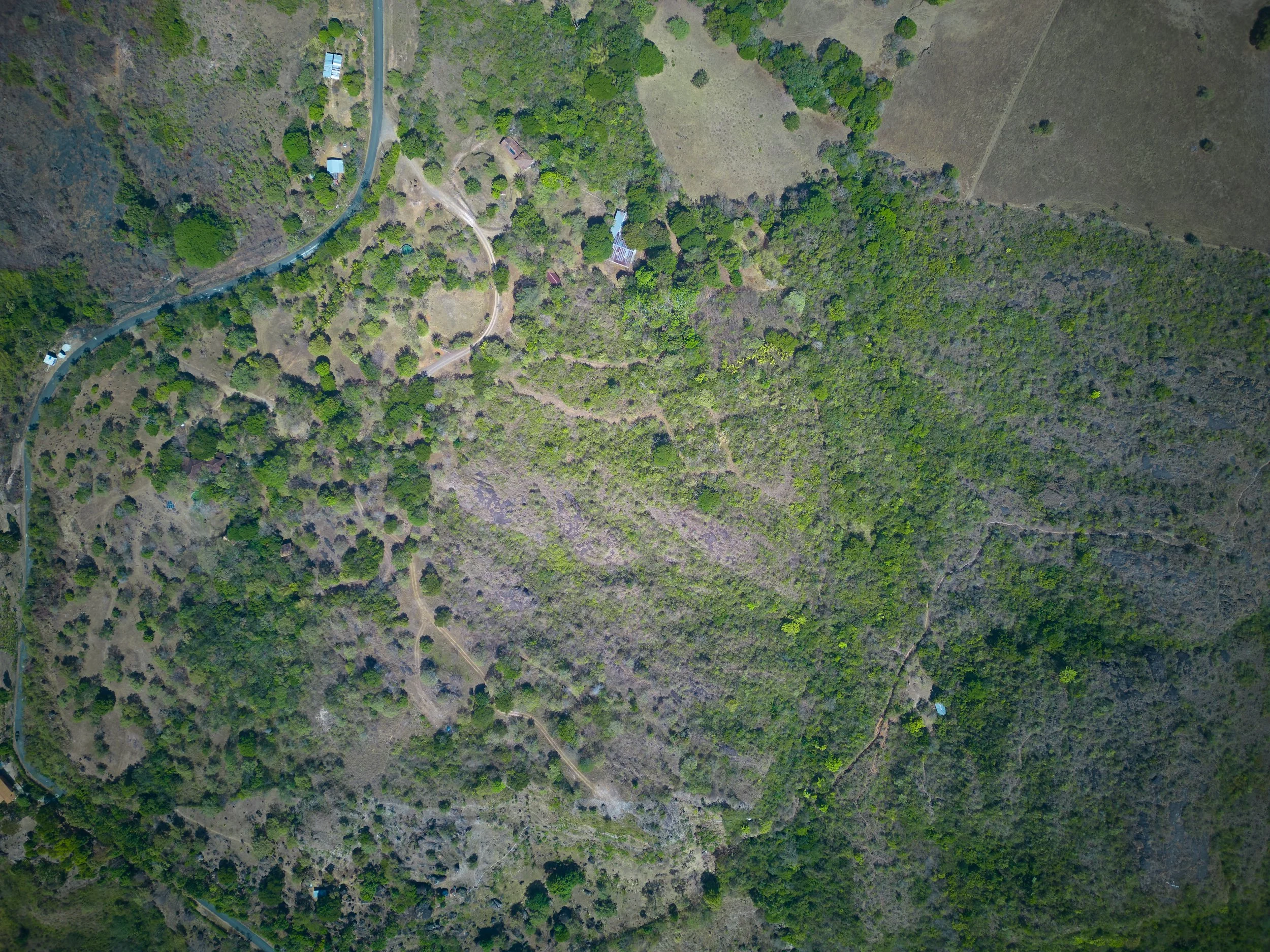 Veritas aerial 7.jpg