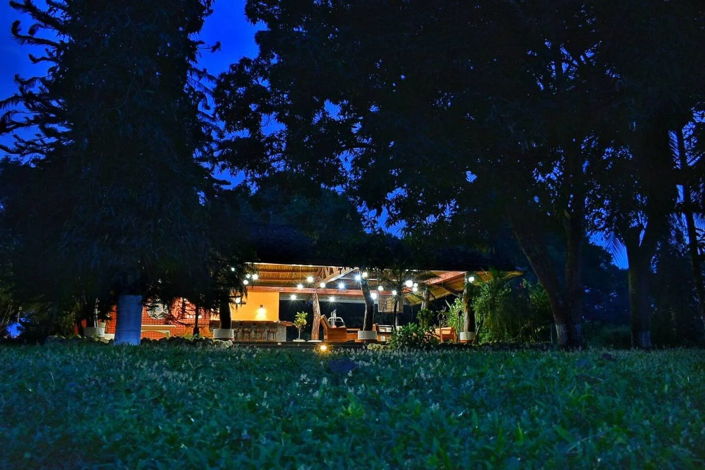 4d0041ca-c5bf-42e8-90f8-87af825e98cb.jpg